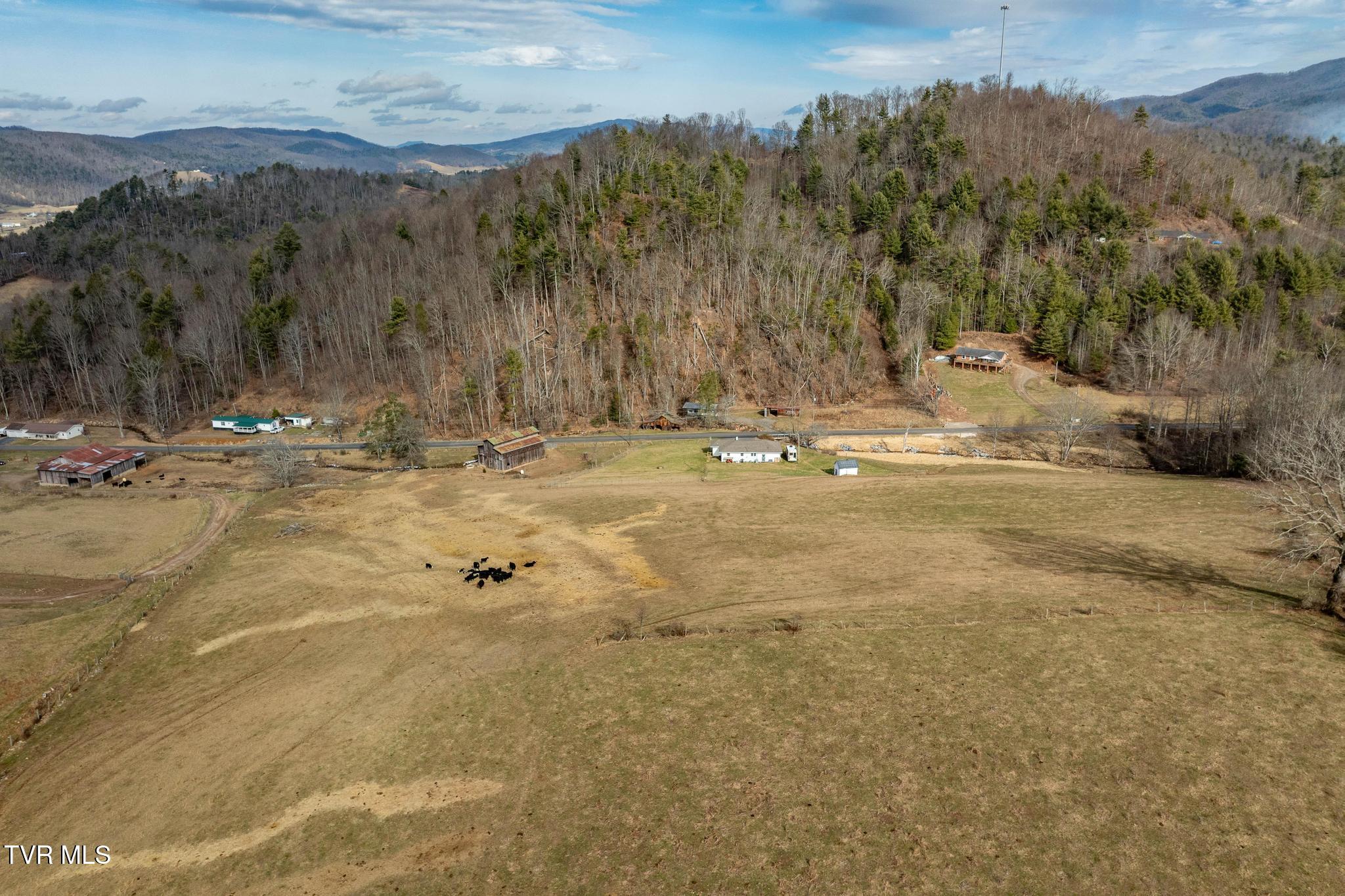 Tbd Stout Branch Road Mountain City, TN 37683 - Photo 24 of 37 TBD Stout Branch Road (19 of 42)