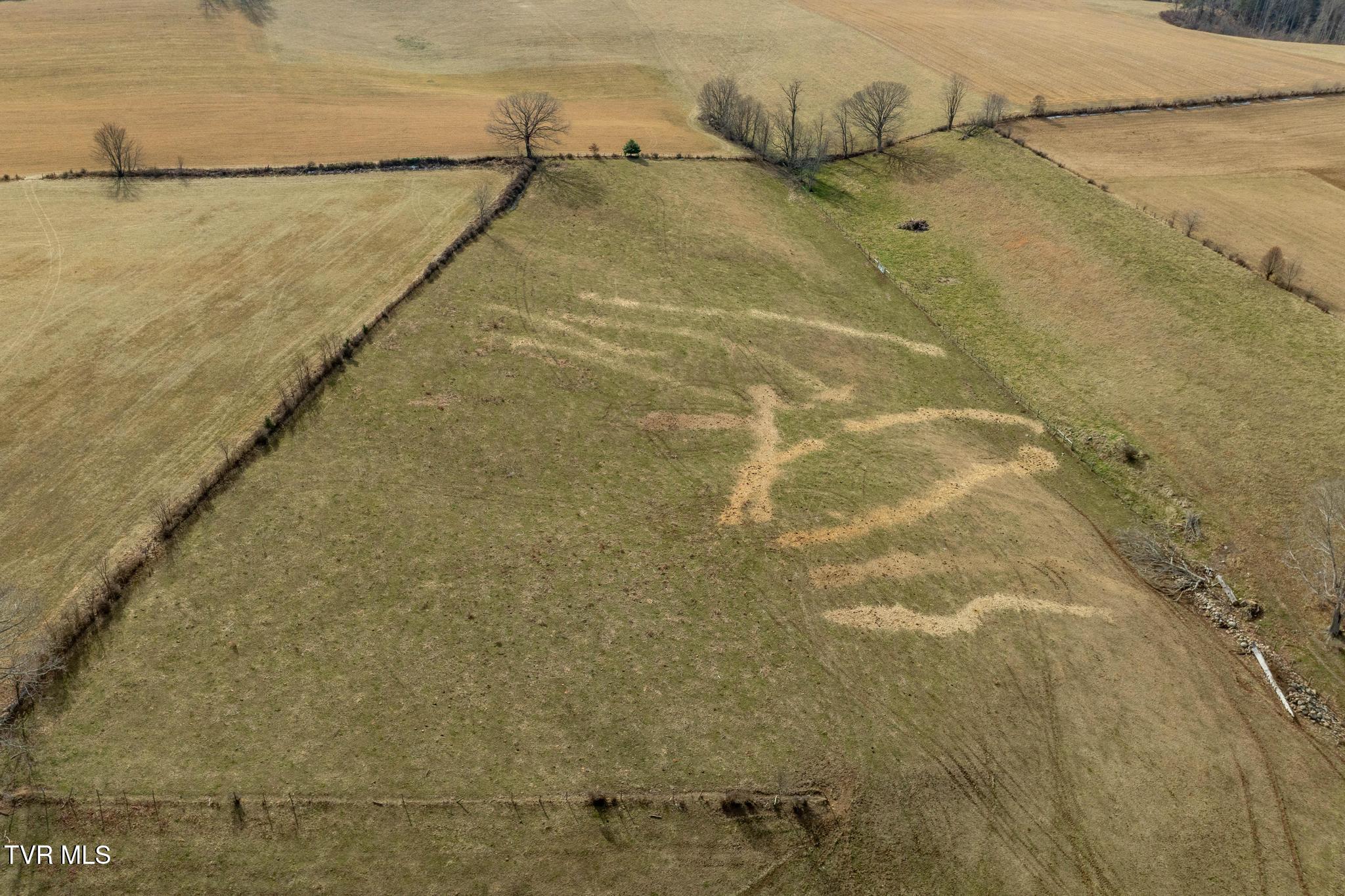 Tbd Stout Branch Road Mountain City, TN 37683 - Photo 27 of 37 TBD Stout Branch Road (16 of 42)