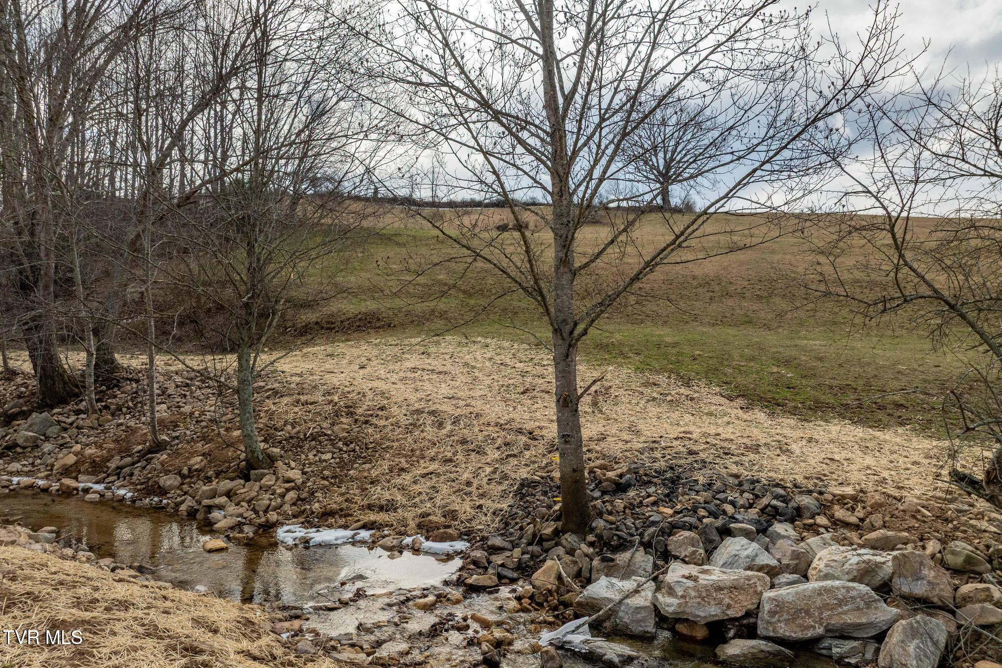 Tbd Stout Branch Road Mountain City, TN 37683 - Photo 4 of 37 TBD Stout Branch Road (38 of 42)