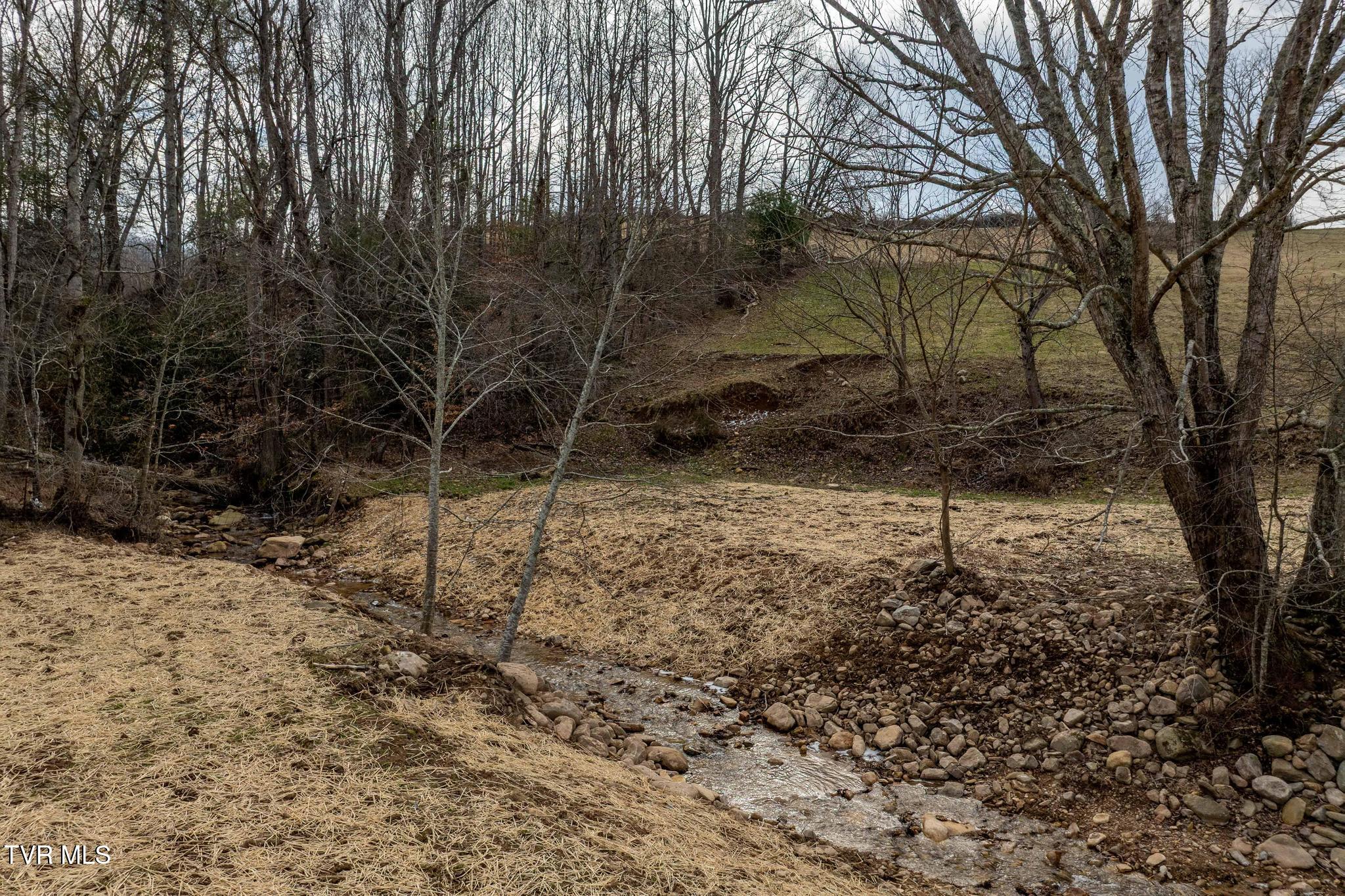 Tbd Stout Branch Road Mountain City, TN 37683 - Photo 5 of 37 TBD Stout Branch Road (39 of 42)