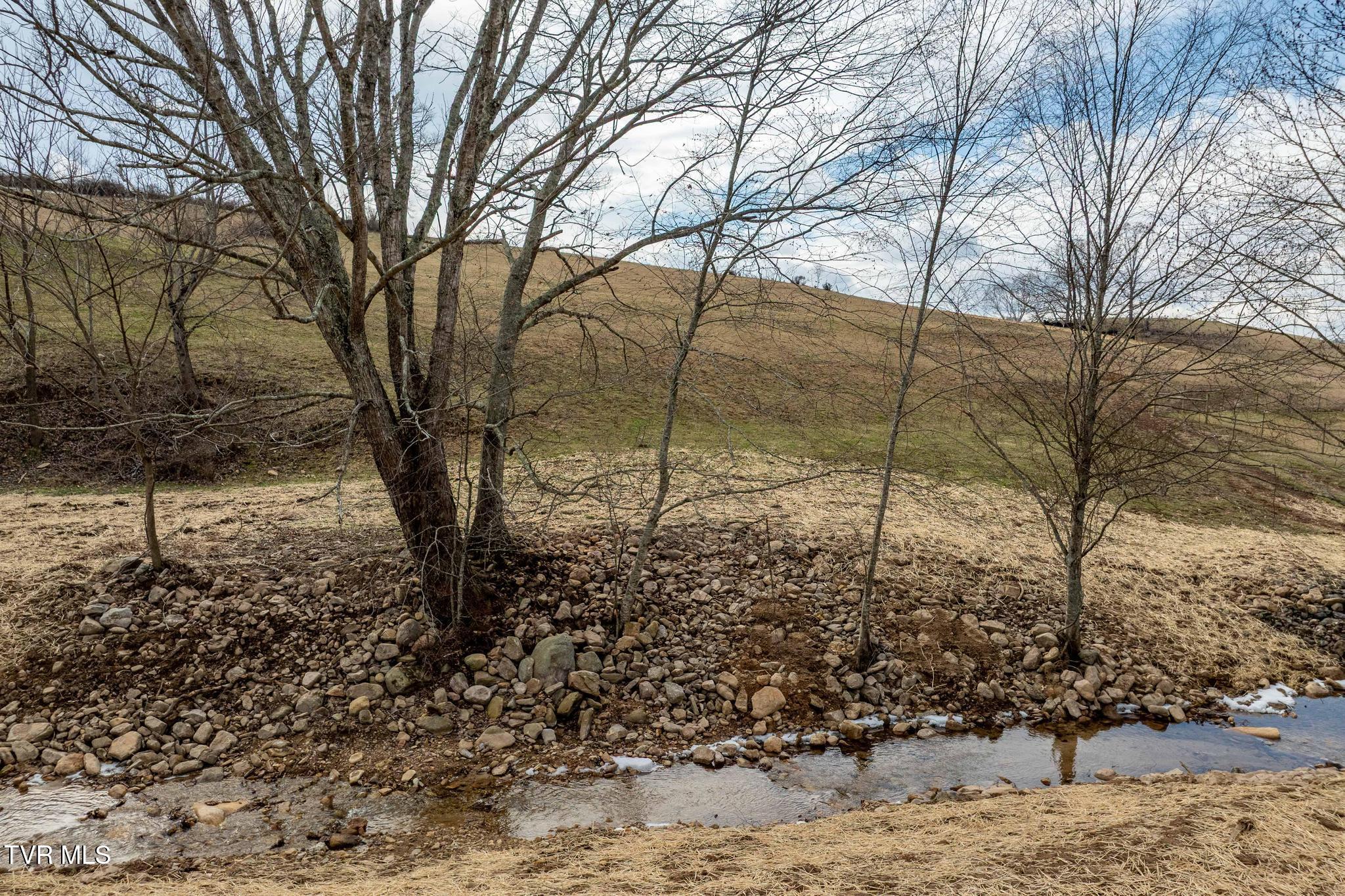Tbd Stout Branch Road Mountain City, TN 37683 - Photo 6 of 37 TBD Stout Branch Road (40 of 42)