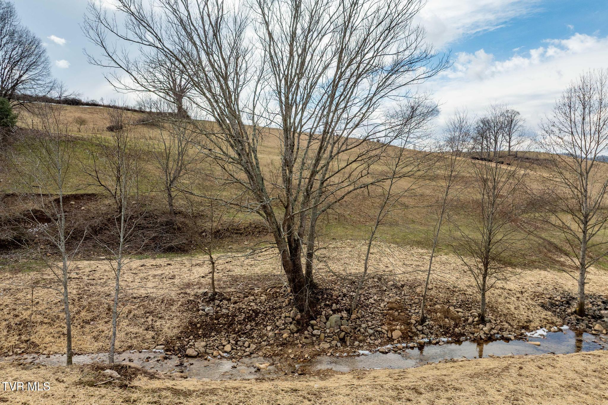 Tbd Stout Branch Road Mountain City, TN 37683 - Photo 7 of 37 TBD Stout Branch Road (41 of 42)