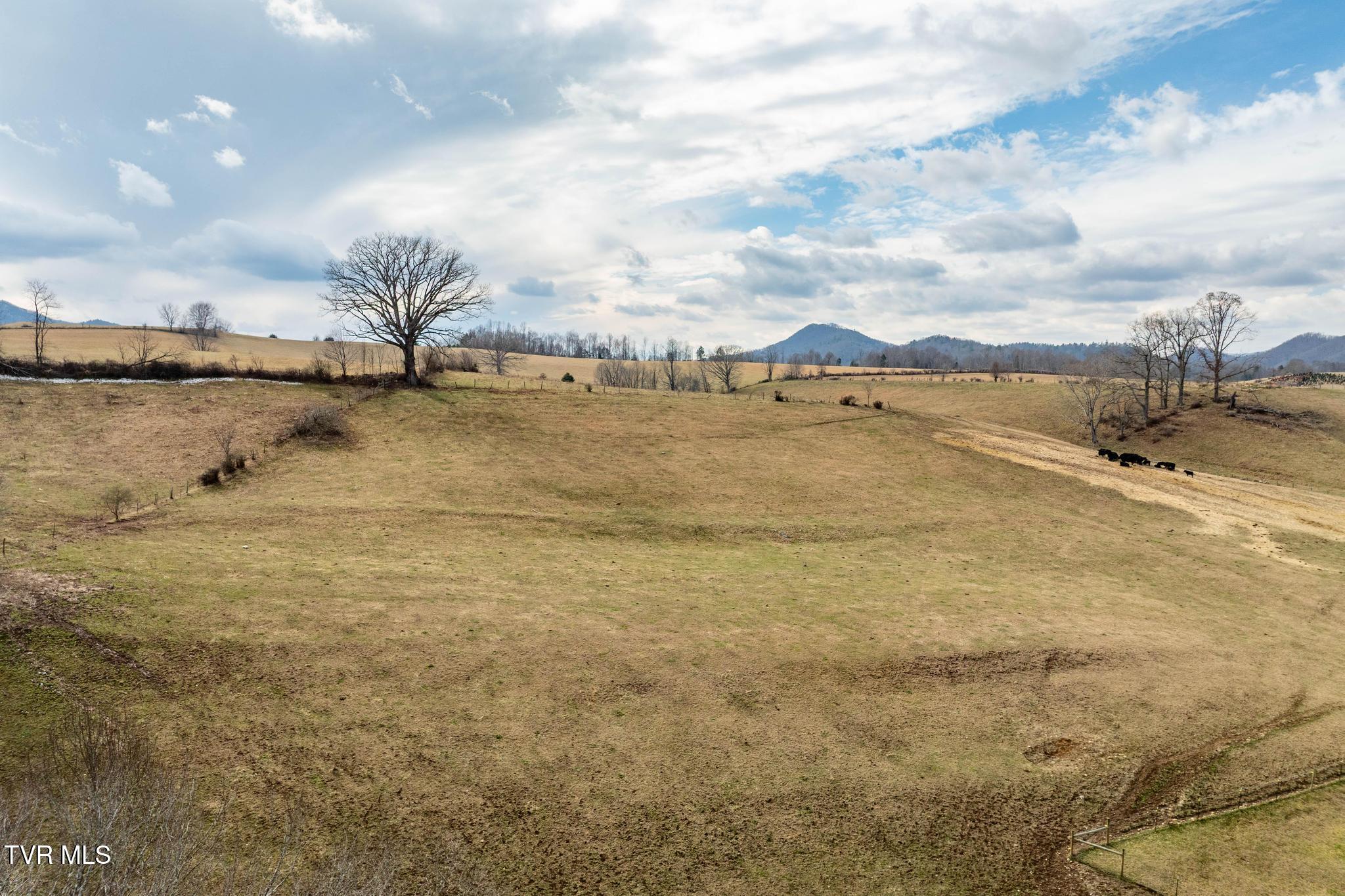 Tbd Stout Branch Road Mountain City, TN 37683 - Photo 8 of 37 TBD Stout Branch Road (42 of 42)