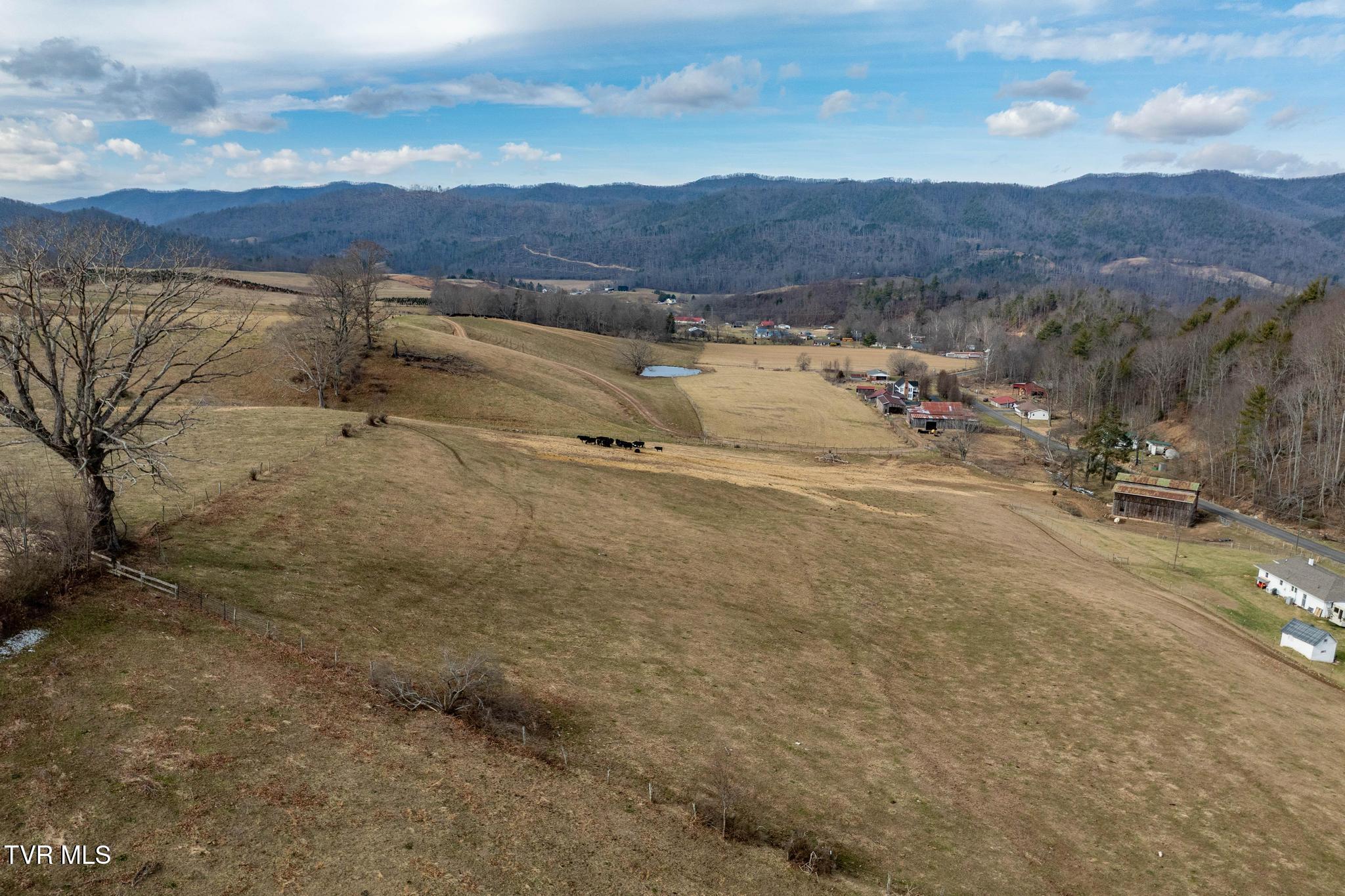 Tbd Stout Branch Road Mountain City, TN 37683 - Photo 9 of 37 TBD Stout Branch Road (34 of 42)