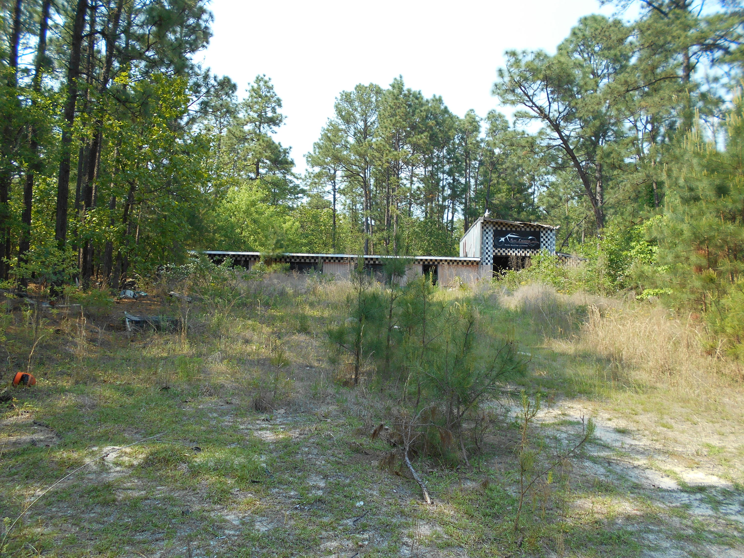 190 Hill Top Road Hoffman, NC 28347 - Photo 6 of 8 DSCN0151