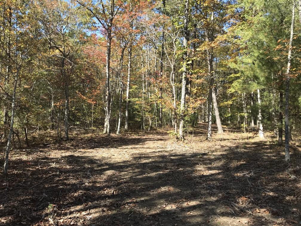 Lot 109 Lou Road Pikeville, TN 37367 - Photo 14 of 17 IMG_0578