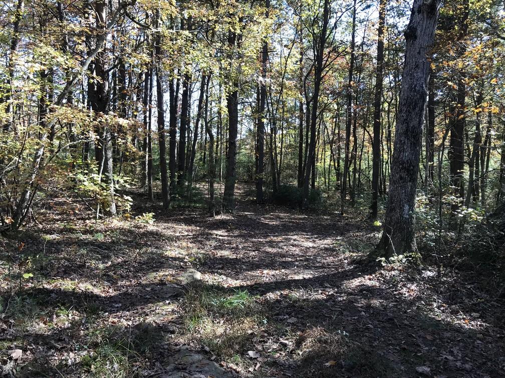 Lot 109 Lou Road Pikeville, TN 37367 - Photo 15 of 17 IMG_0579