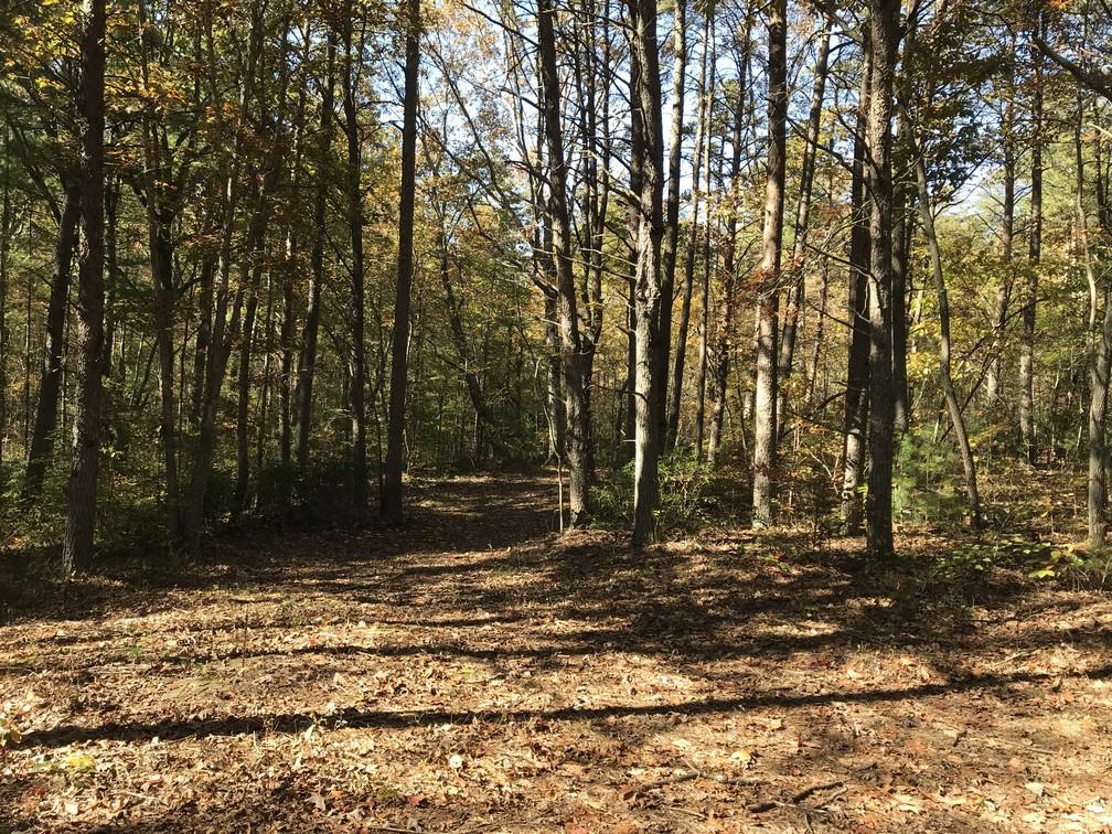 Lot 109 Lou Road Pikeville, TN 37367 - Photo 16 of 17 IMG_0590