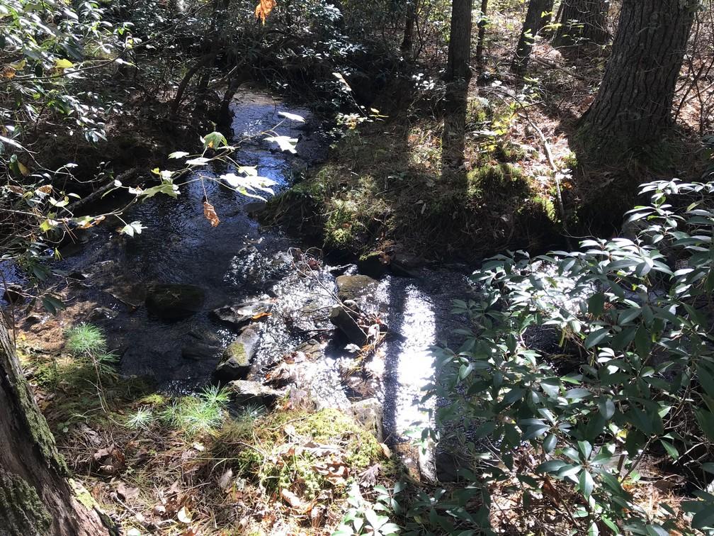 Lot 109 Lou Road Pikeville, TN 37367 - Photo 5 of 17 IMG_0586
