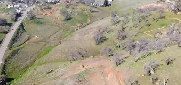 a view of a small garden