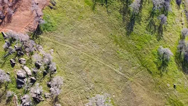 a view of swimming pool with a yard
