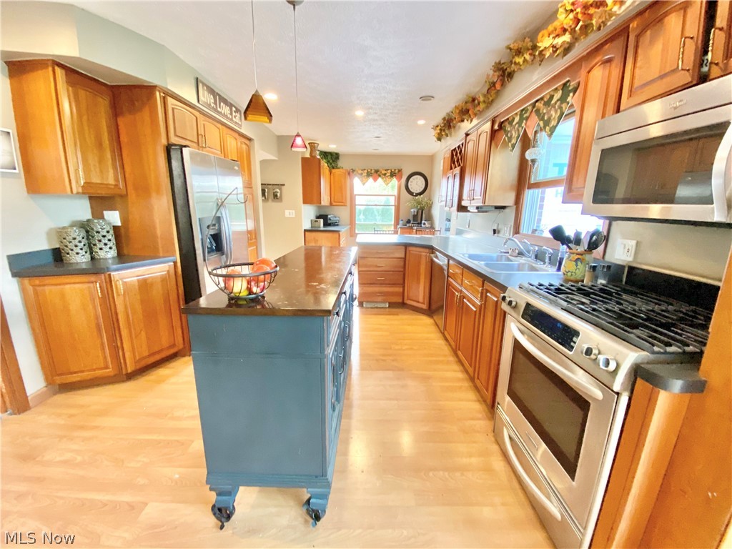 117 Chestnut Road Independence, OH 44131 - Photo 12 of 26 Gallery Image 12