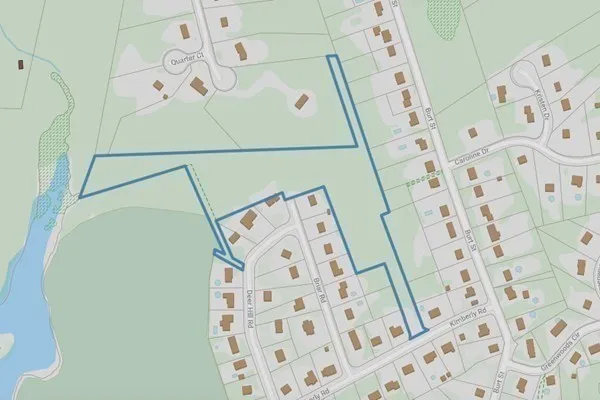 a view of a yard with large trees