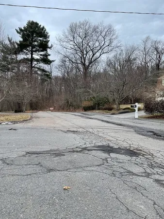 a view of a yard with trees