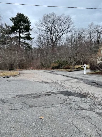 a view of a yard with trees