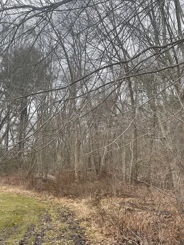 a view of a grassy field