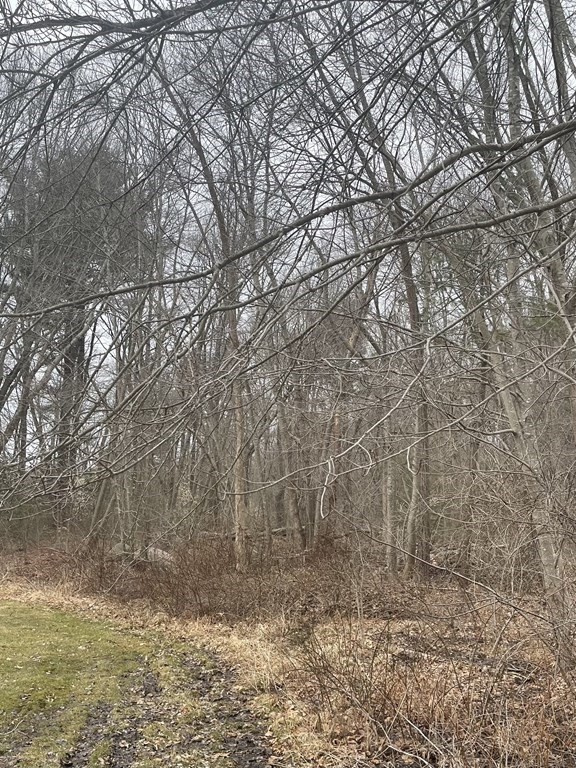 0 Kimberly Road Taunton, MA 02780 - Photo 6 of 9 a view of a yard with trees