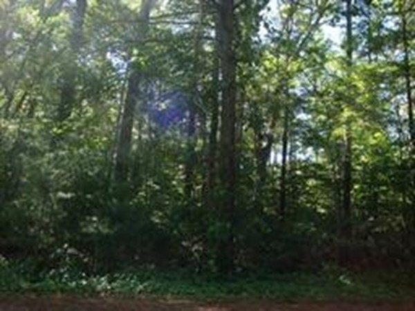 0 Kimberly Road Taunton, MA 02780 - Photo 7 of 9 a view of a yard