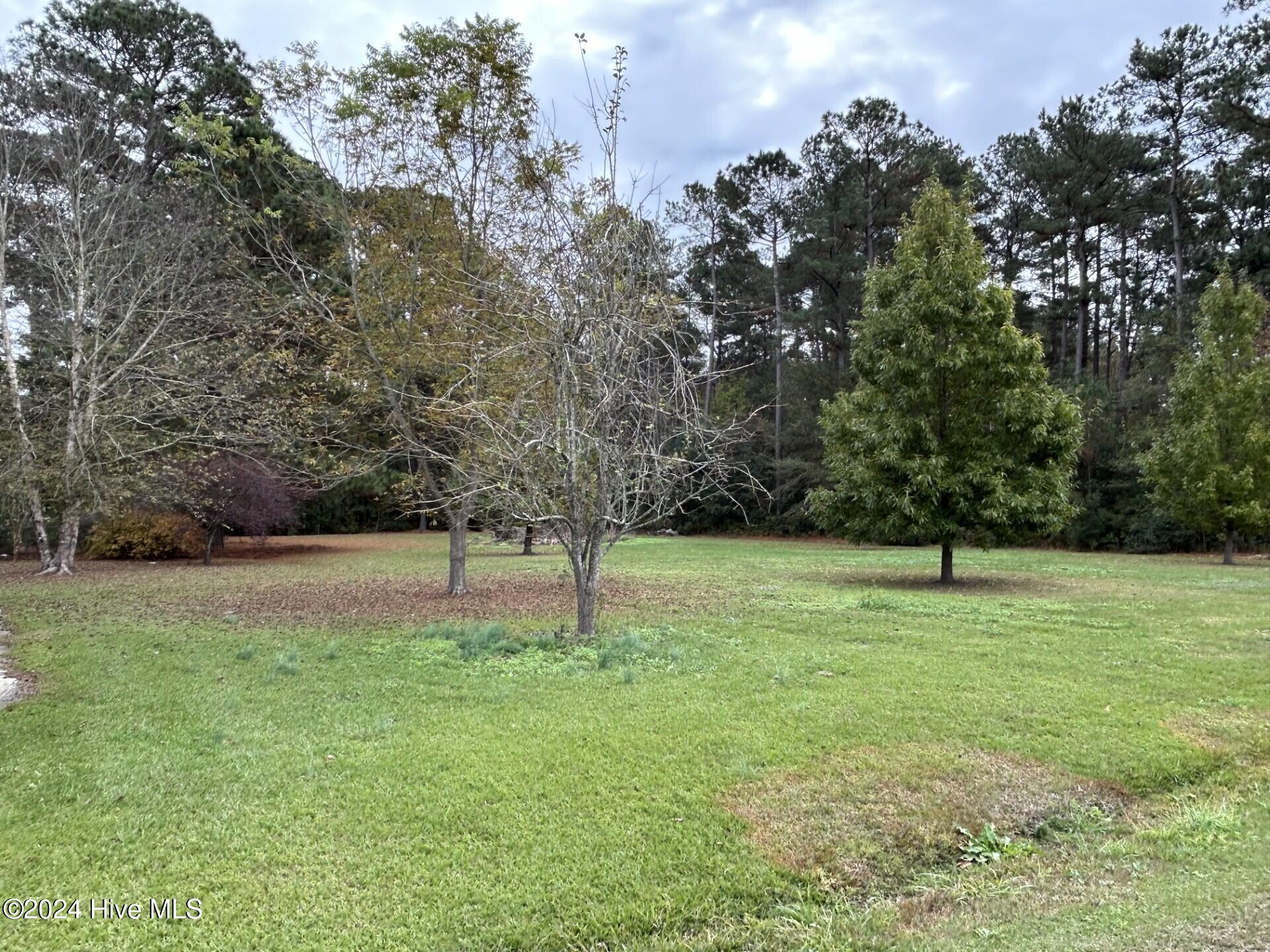 3267 Coras Grove Road Willard, NC 28478 - Photo 29 of 30 Vacant lot behind barn that goes with house