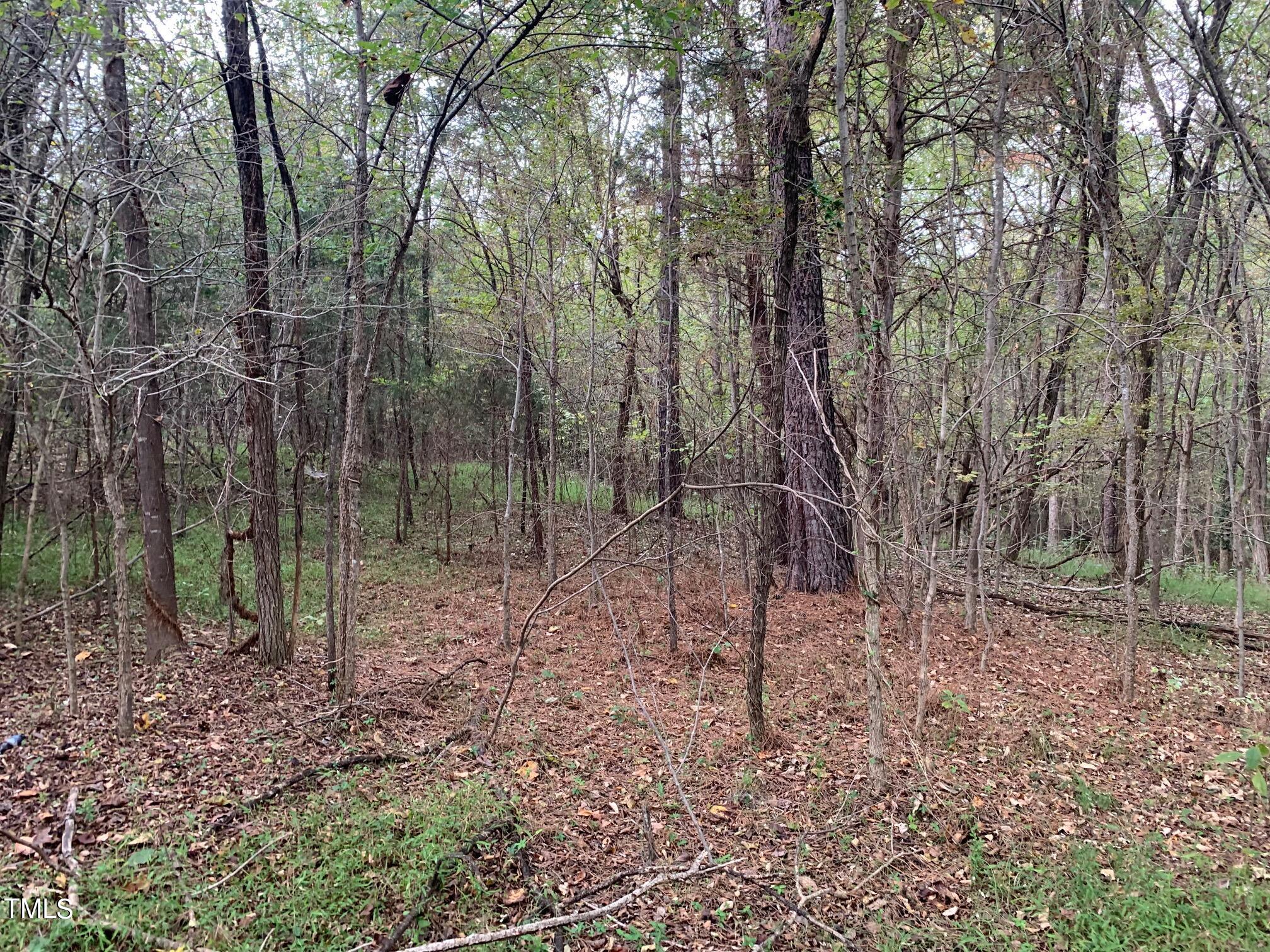 119 Ira Watson Lane Roxboro, NC 27574 - Photo 20 of 24 IMG_7893