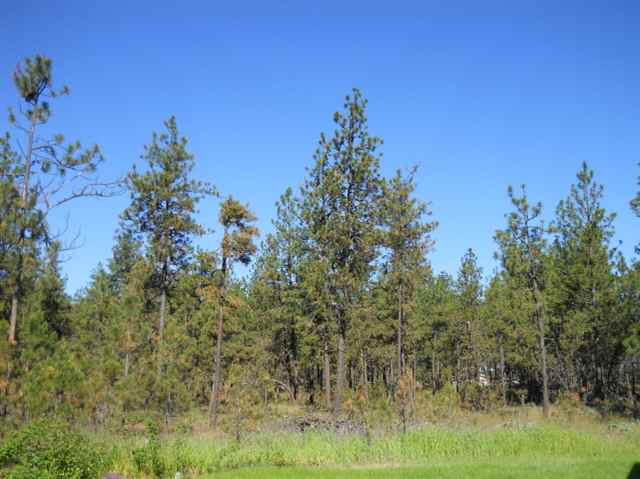 19611 West Cameron Road Cheney, WA 99004 - Photo 8 of 9