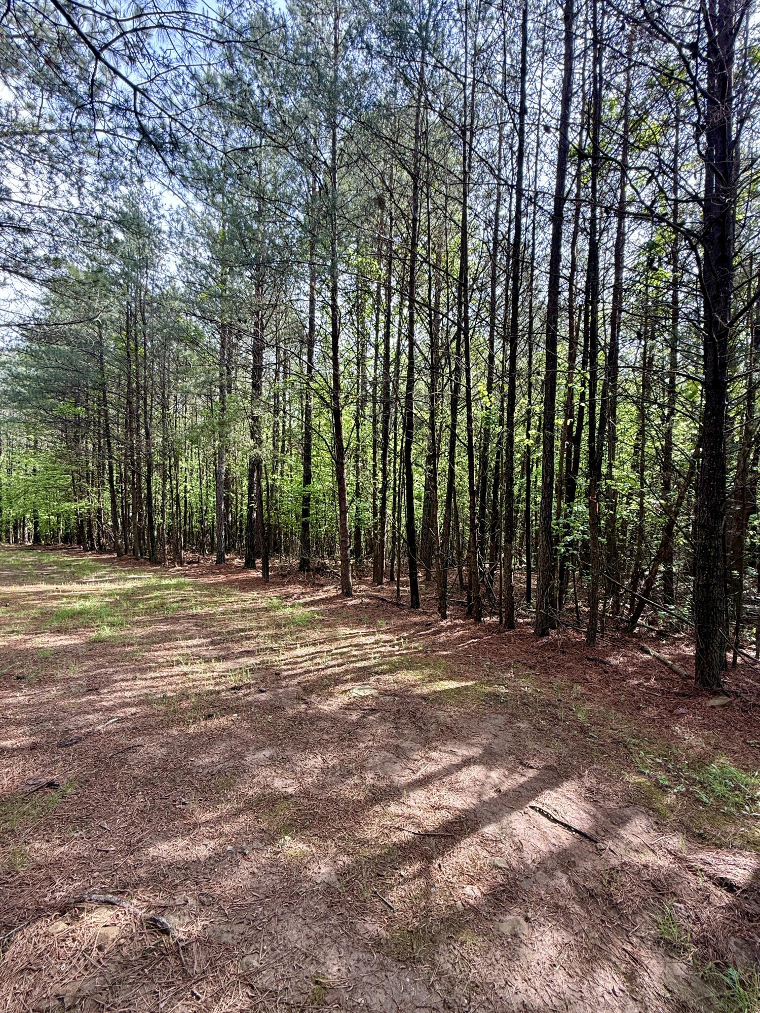 458 Coca-Cola Road Dunlap, TN 37327 - Photo 26 of 39 IMG_0826