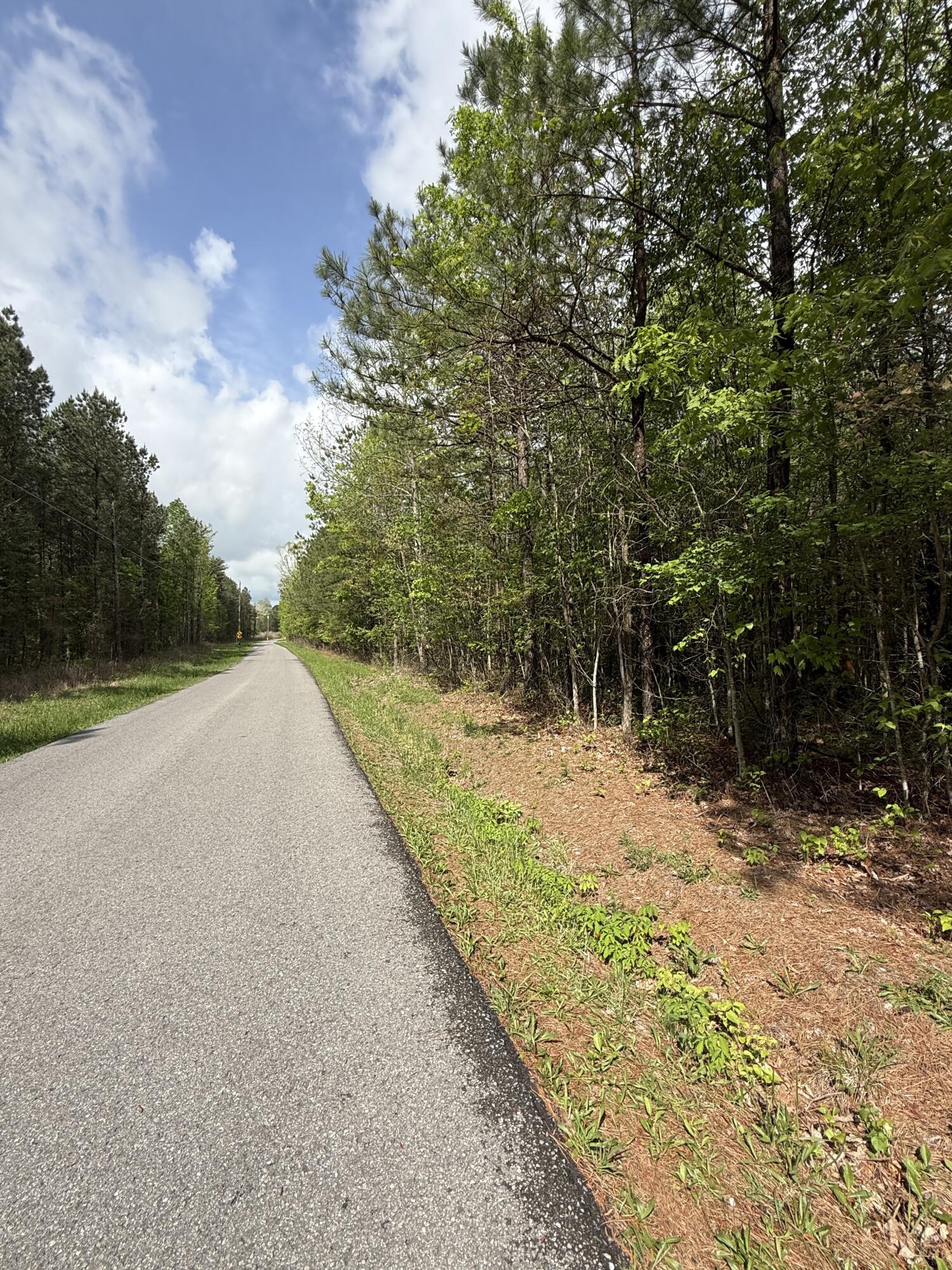 458 Coca-Cola Road Dunlap, TN 37327 - Photo 35 of 39 IMG_0843