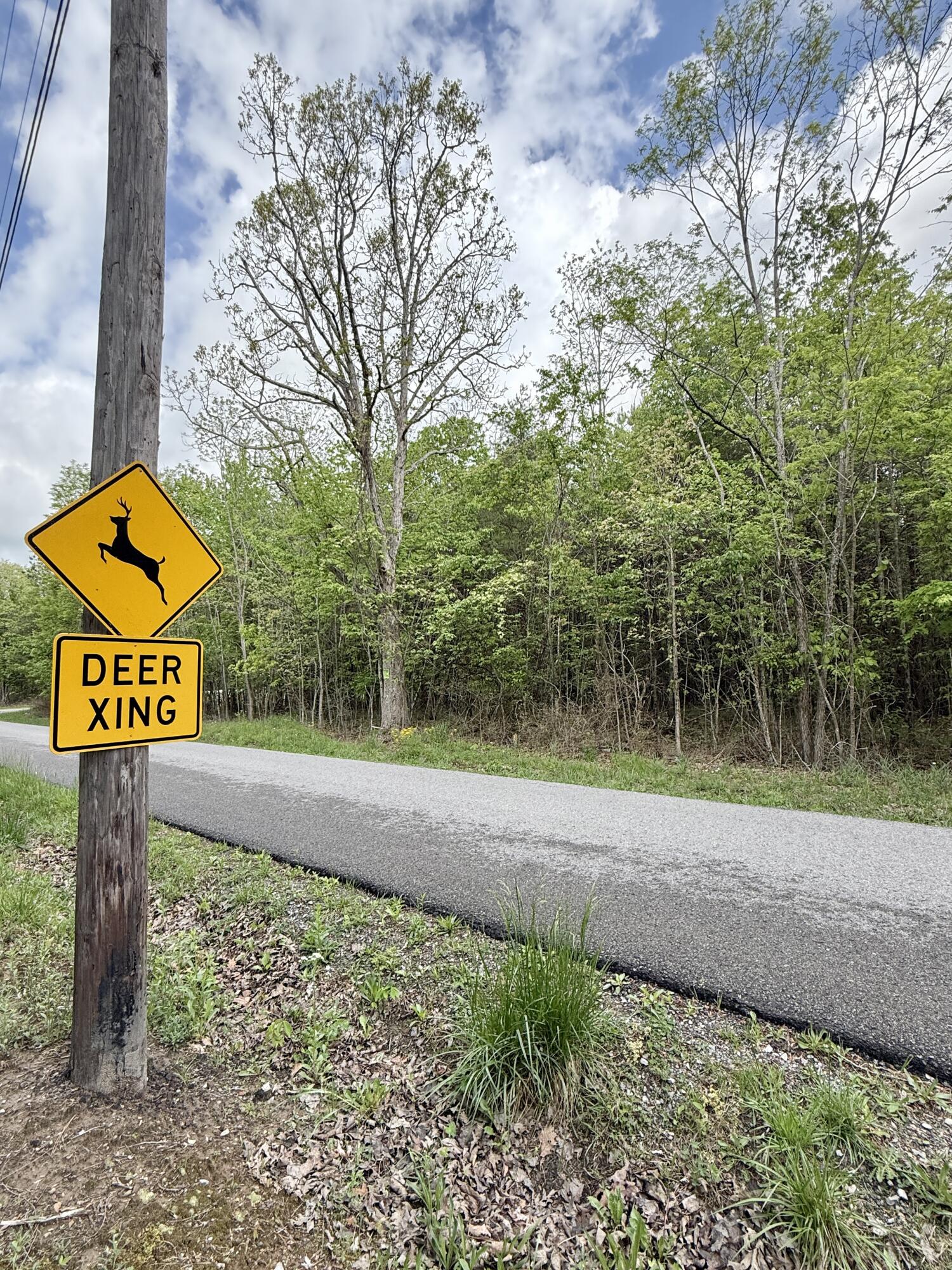 458 Coca-Cola Road Dunlap, TN 37327 - Photo 36 of 39 IMG_0845