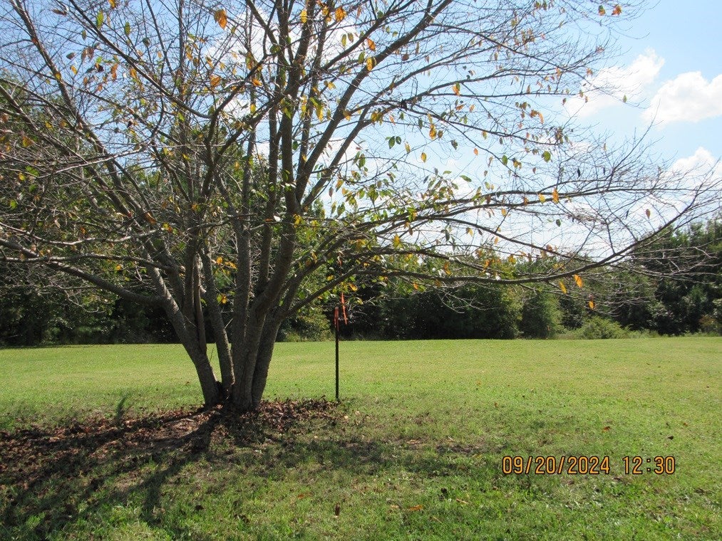 352 South Genito Road Burkeville, VA 23922 - Photo 8 of 69 Gallery Image 8
