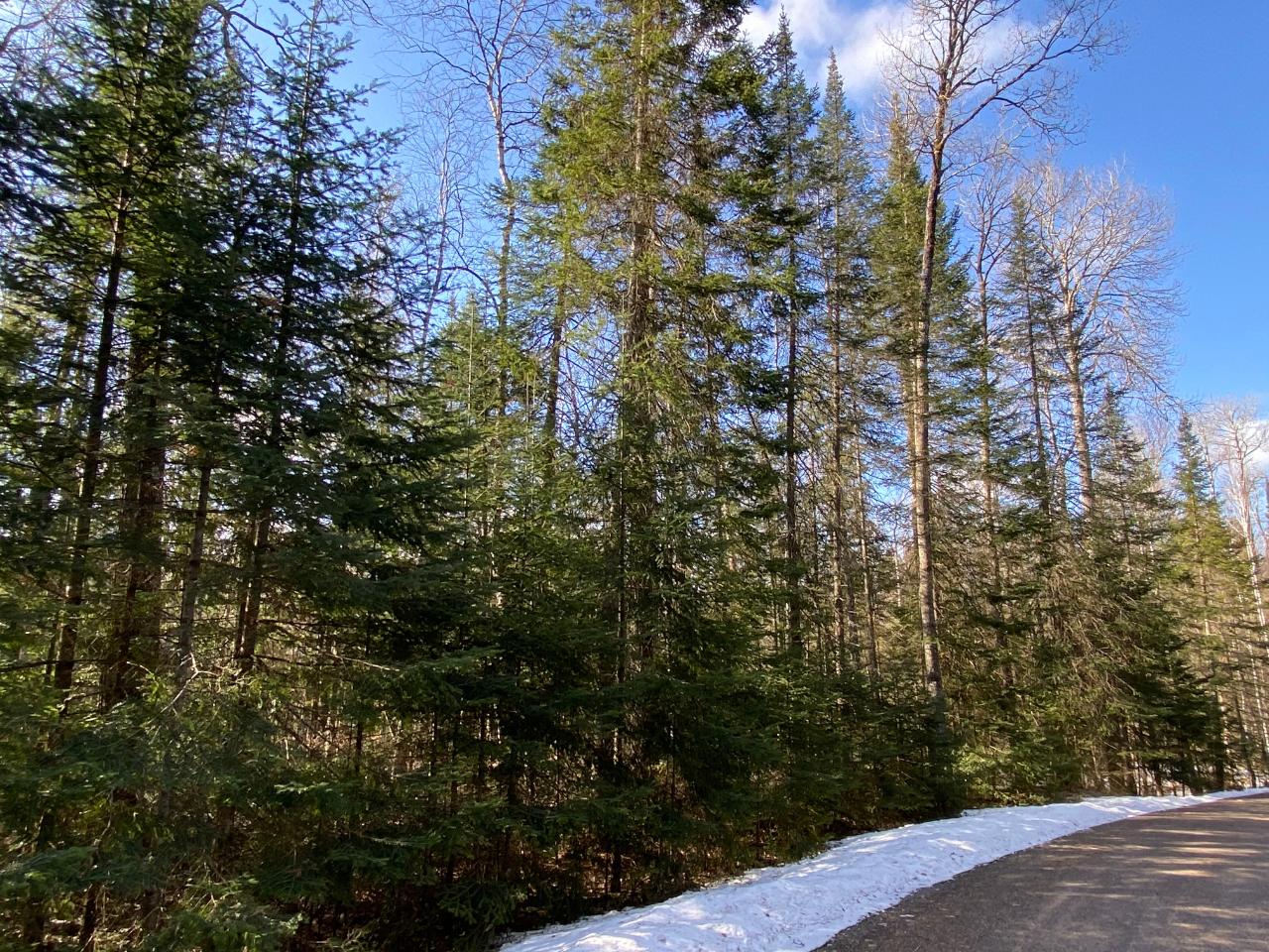 On Tall Timbers Road, Unit LOT 19 Presque Isle, WI 54557 - Photo 3 of 9 Gallery Image 3