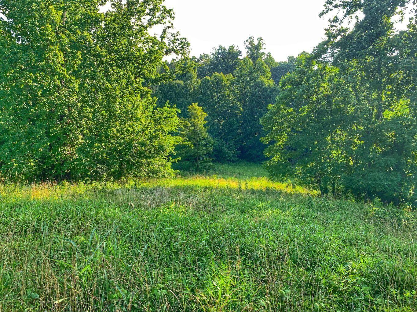 Lot 9 Cahas Summit Road Boones Mill, VA 24065 - Photo 14 of 18 a view of yard with green space