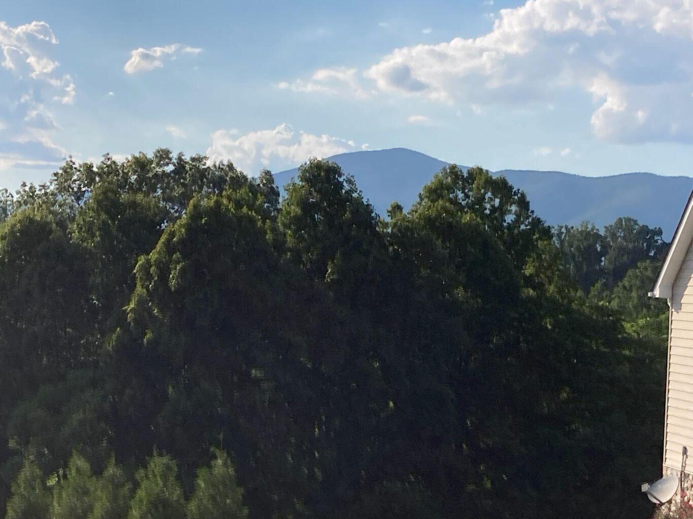 Lot 9 Cahas Summit Road Boones Mill, VA 24065 - Photo 5 of 18 a view of a bunch of trees in a yard