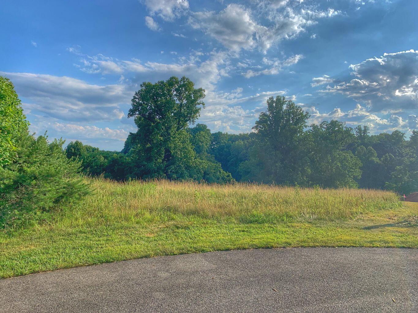 Lot 9 Cahas Summit Road Boones Mill, VA 24065 - Photo 6 of 18 a view of a yard with an ocean