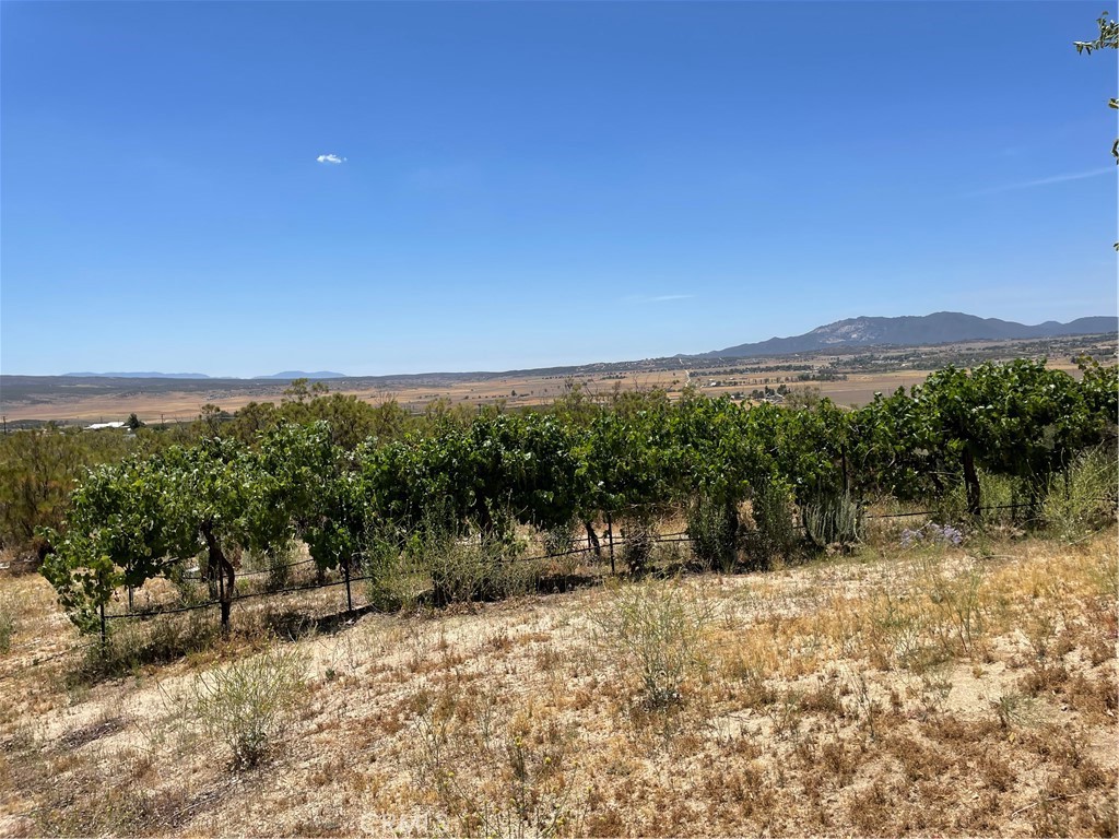 58735 Meyers Lane Anza, CA 92539 - Photo 6 of 18 a view of outdoor space with mountain view