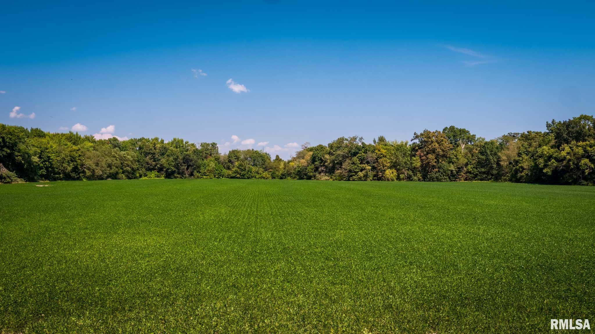3519 Creek Nation Blacktop Mulkeytown, IL 62865 - Photo 11 of 13 Gallery Image 11