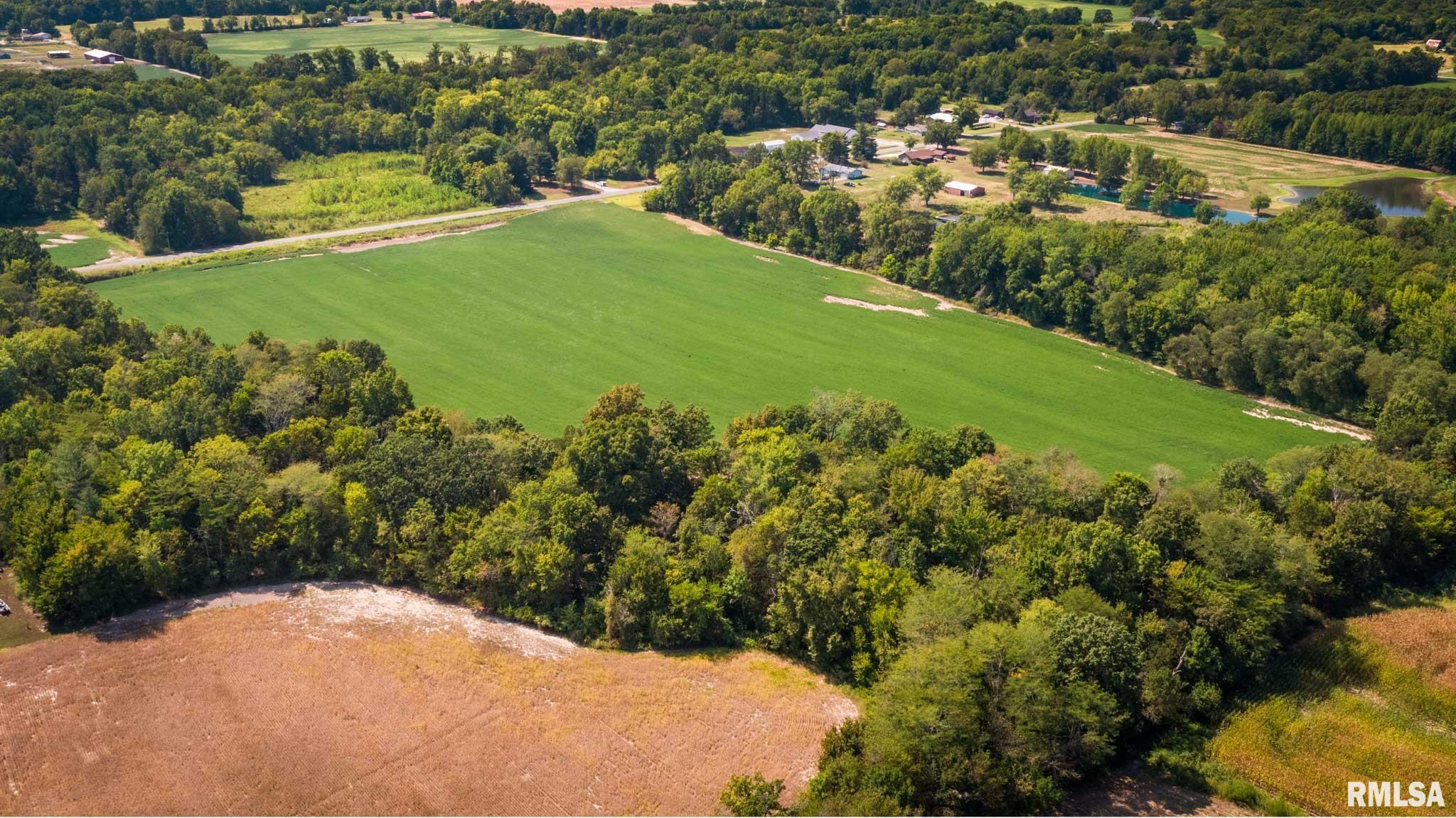 3519 Creek Nation Blacktop Mulkeytown, IL 62865 - Photo 4 of 13 Gallery Image 4