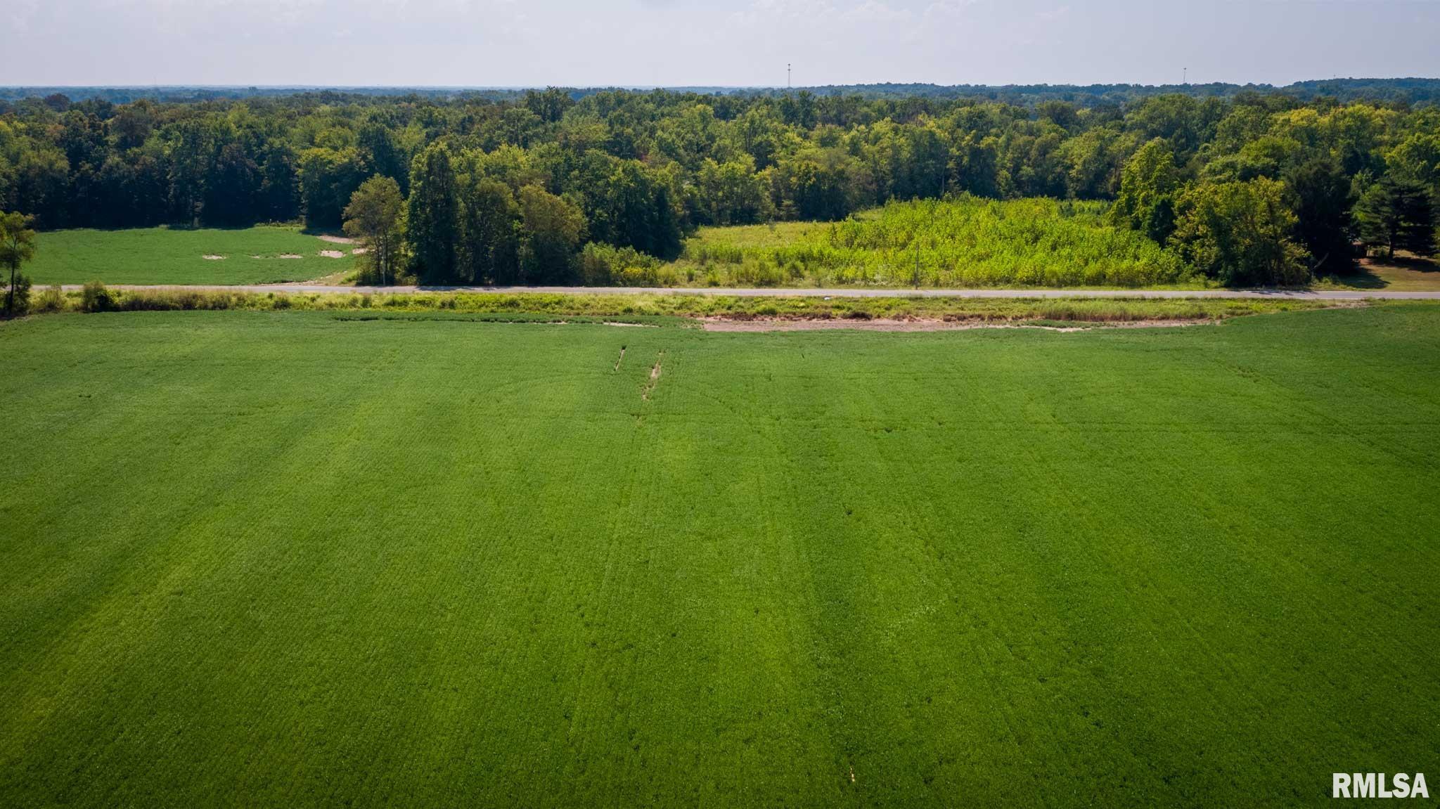 3519 Creek Nation Blacktop Mulkeytown, IL 62865 - Photo 8 of 13 Gallery Image 8