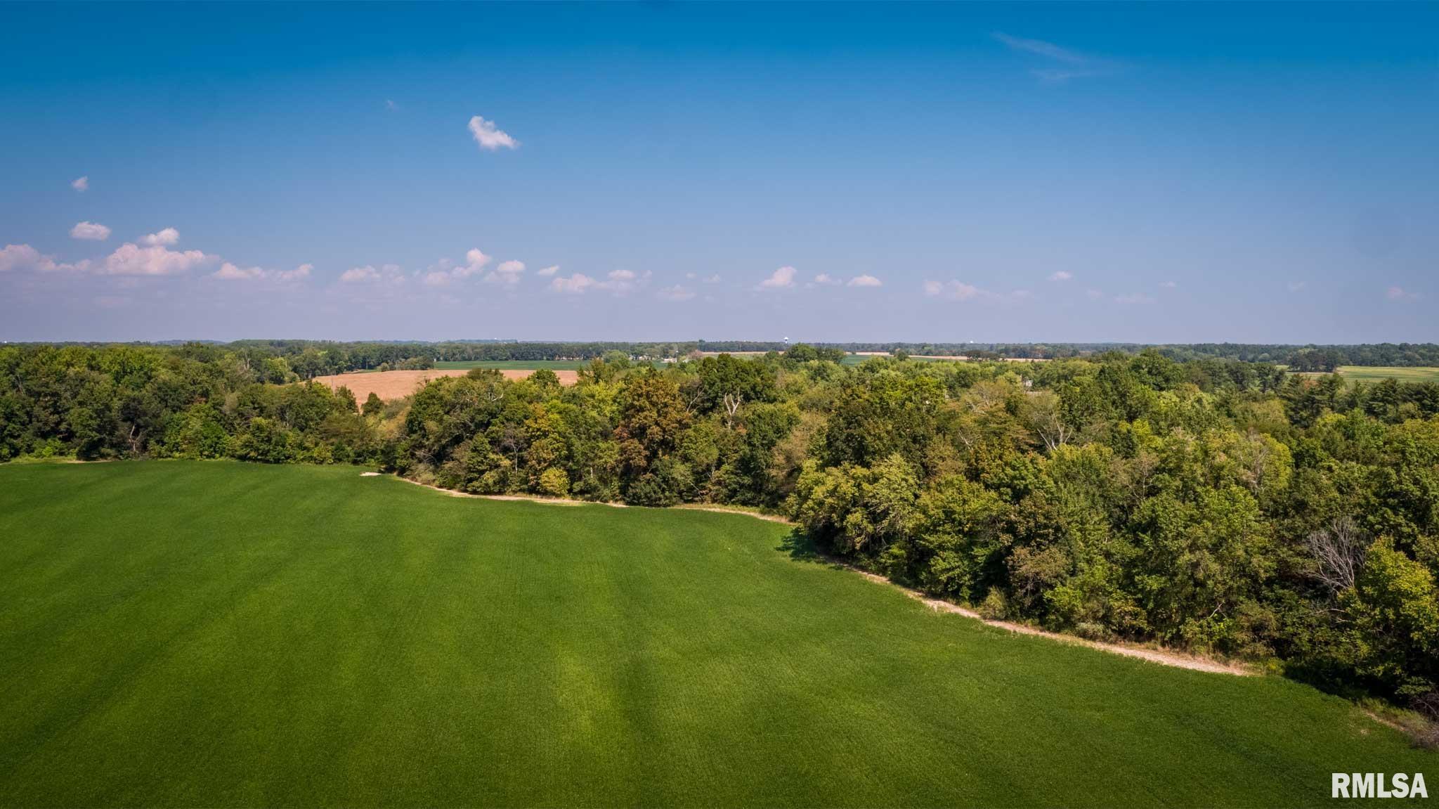3519 Creek Nation Blacktop Mulkeytown, IL 62865 - Photo 9 of 13 Gallery Image 9
