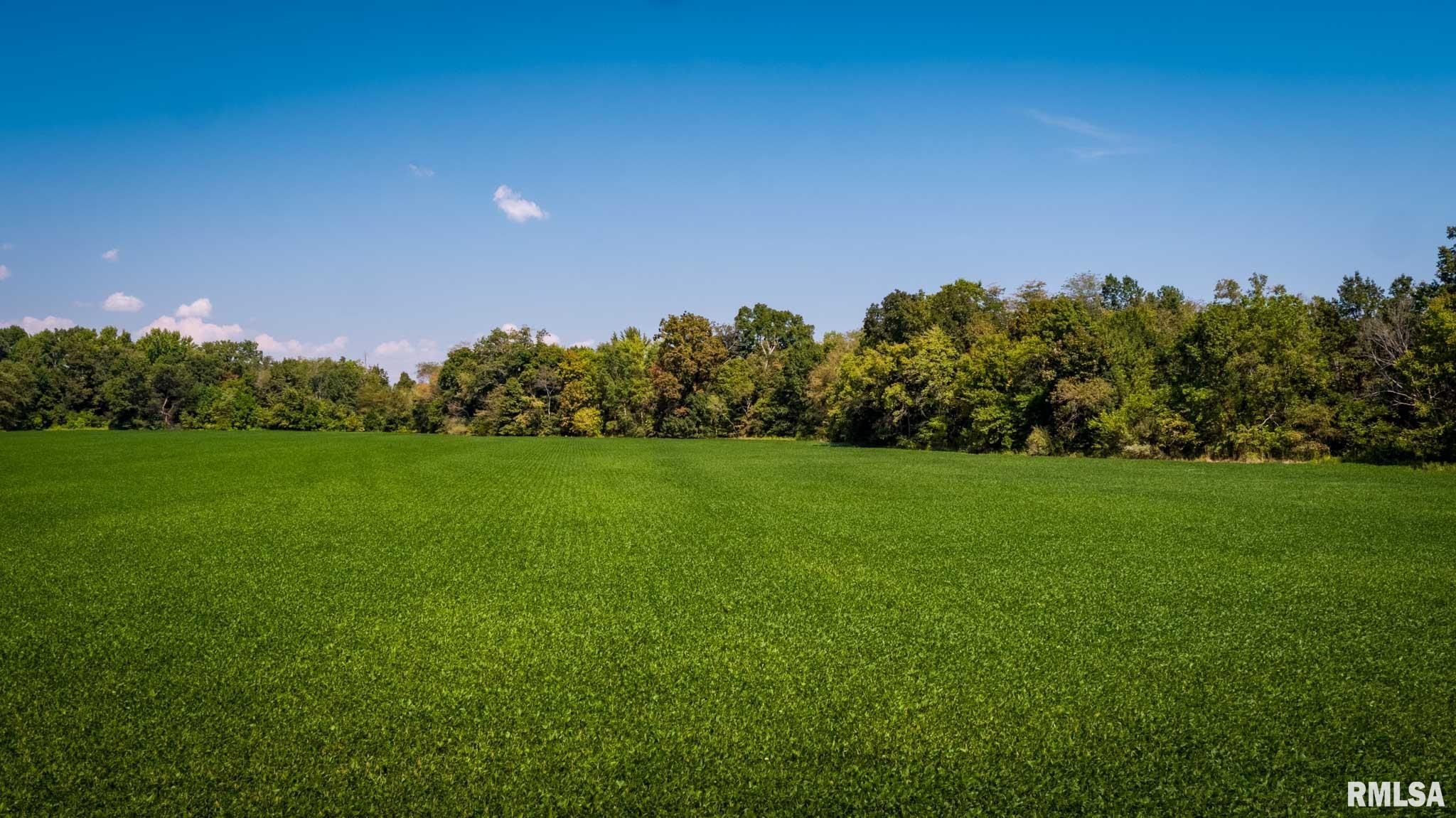 3519 Creek Nation Blacktop Mulkeytown, IL 62865 - Photo 10 of 13 Gallery Image 10