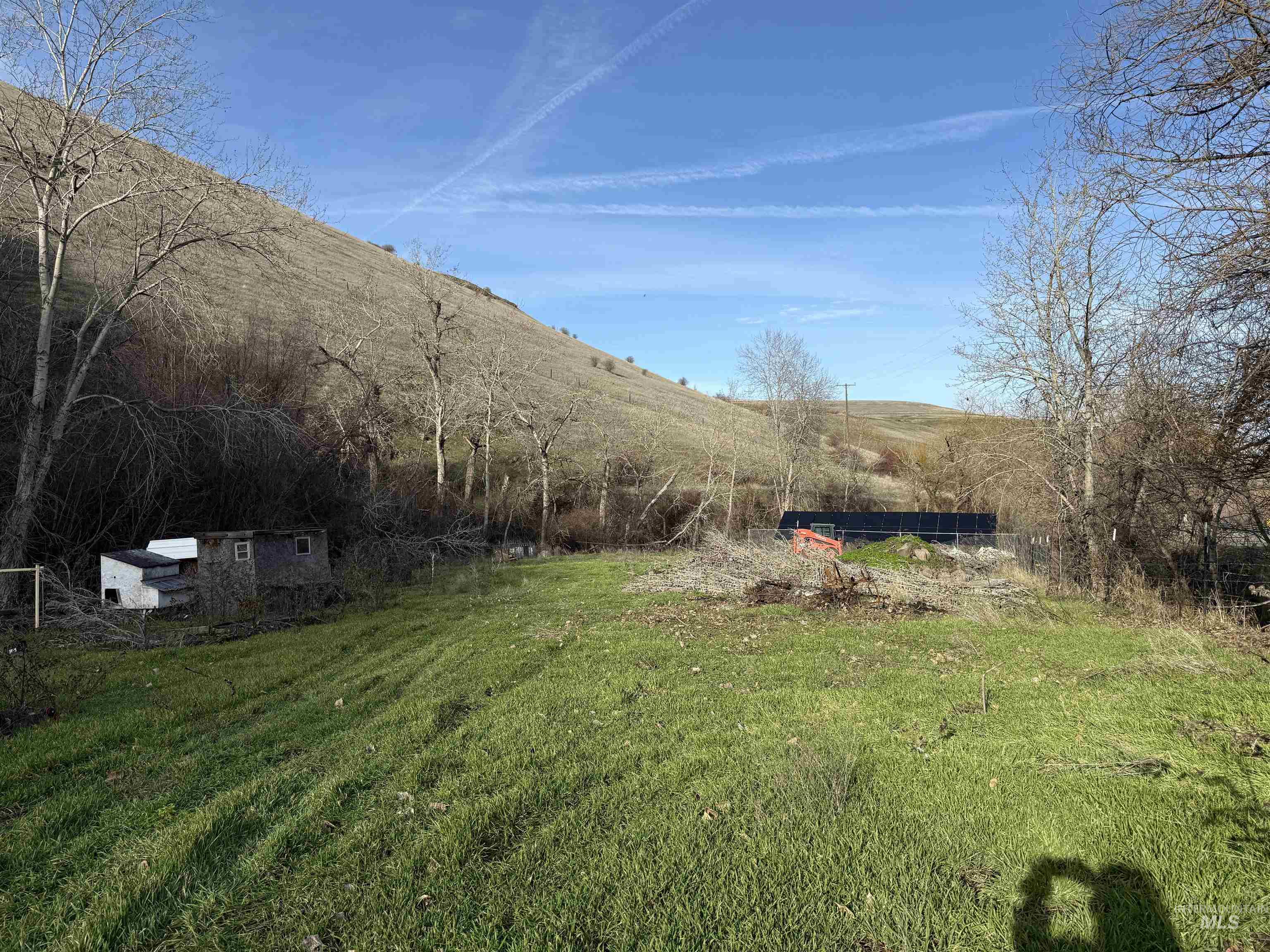 32680 Webb Ridge Road Lapwai, ID 83540 - Photo 2 of 7 View of green lawn with a mountain view