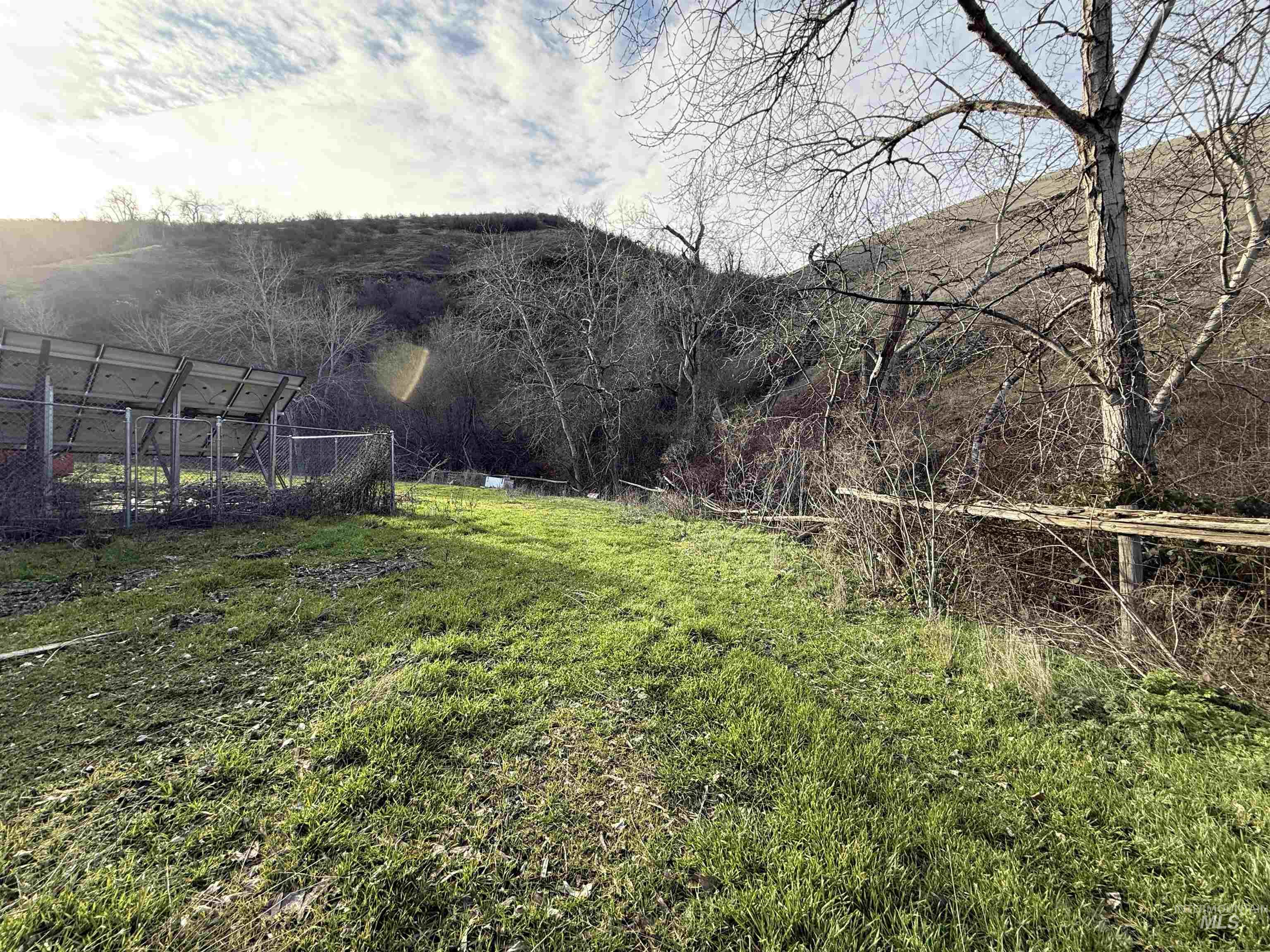 32680 Webb Ridge Road Lapwai, ID 83540 - Photo 5 of 7 View of yard