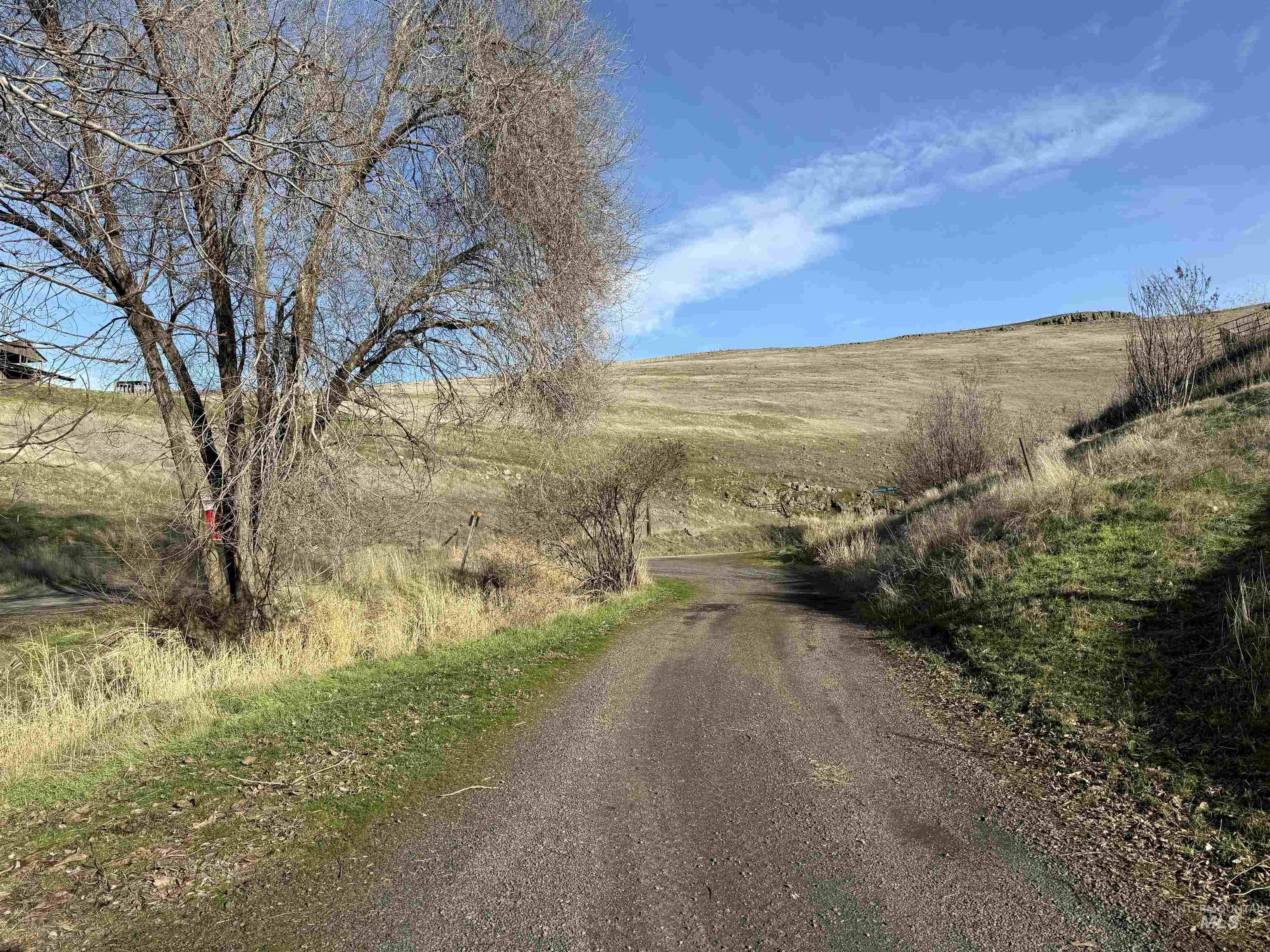 32680 Webb Ridge Road Lapwai, ID 83540 - Photo 6 of 7 View of dirt / gravel road featuring a view of countryside