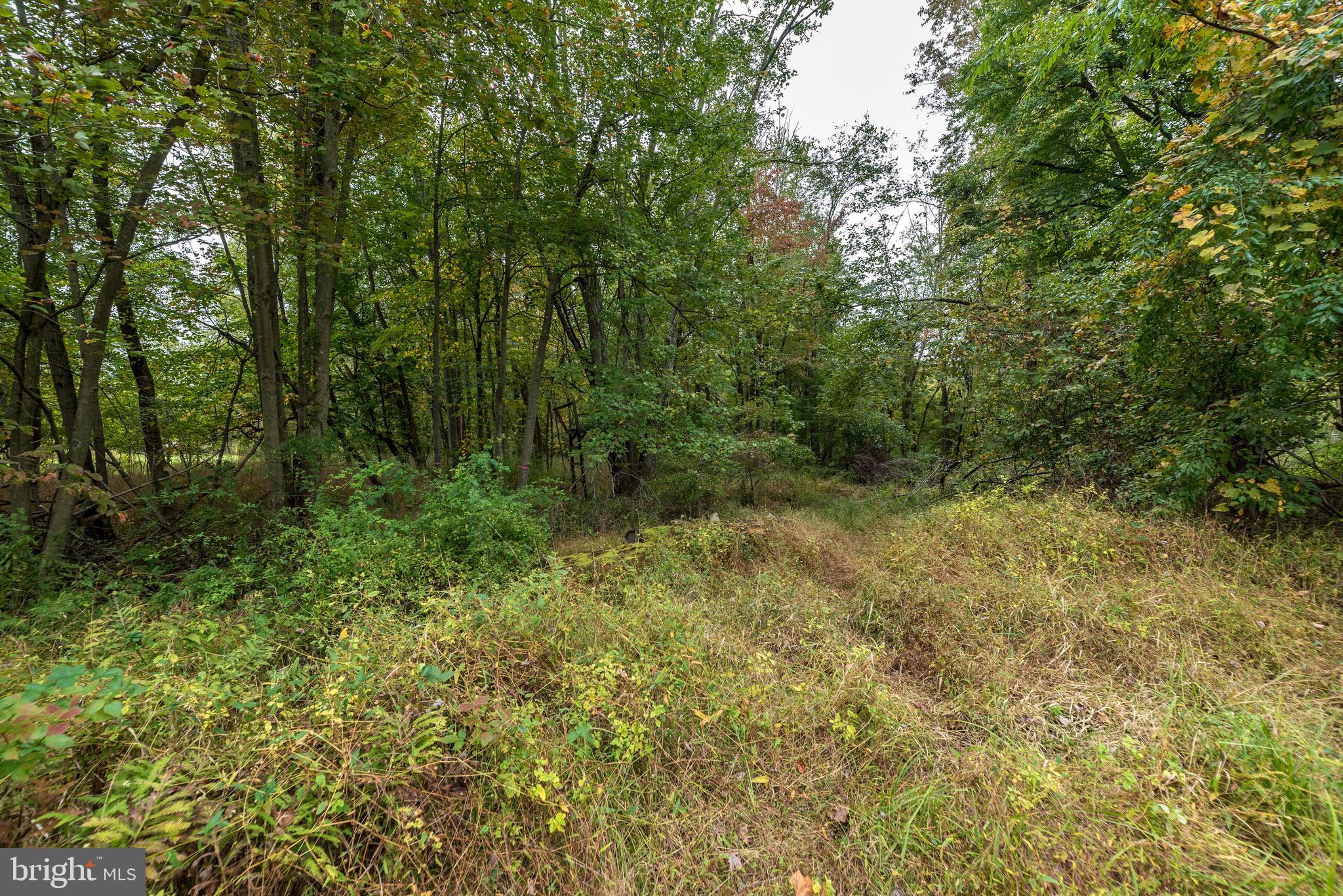 658 Jacksonville Road Warminster, PA 18974 - Photo 12 of 16
