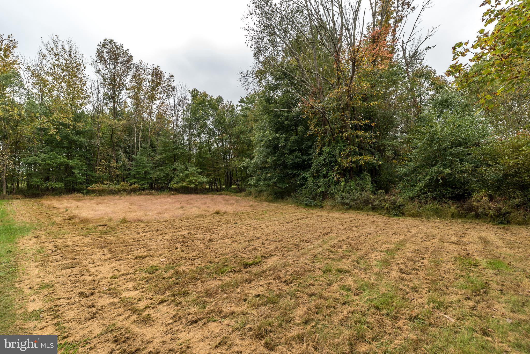 658 Jacksonville Road Warminster, PA 18974 - Photo 3 of 16