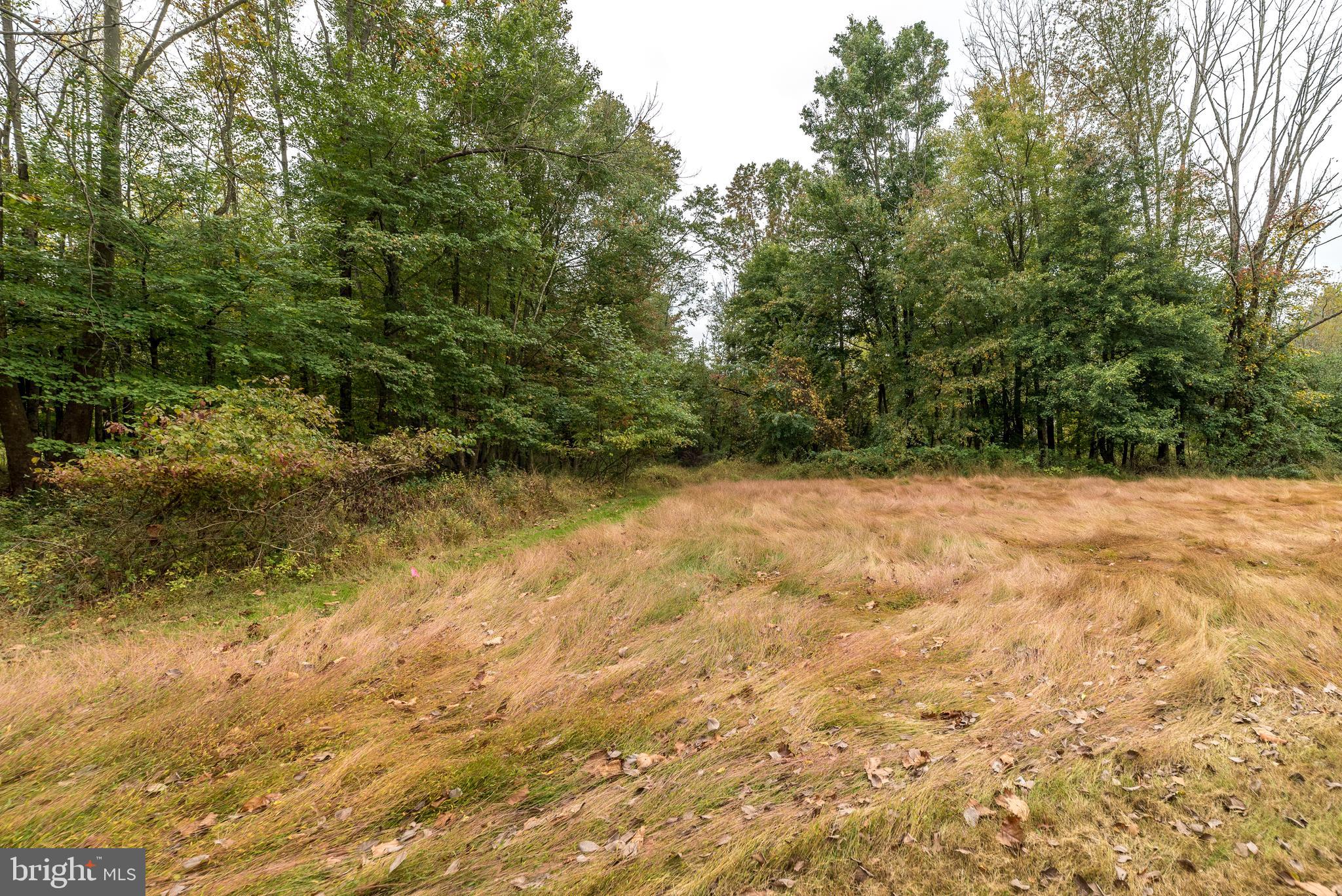 658 Jacksonville Road Warminster, PA 18974 - Photo 10 of 16