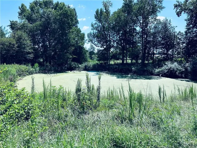 $650,000 | 4308 Athens Road, Carnesville, GA 30521