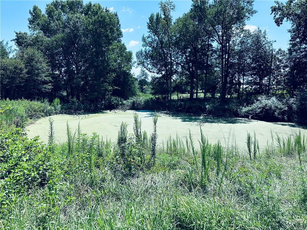 4308 Athens Road Carnesville, GA 30521 - Photo 6 of 49