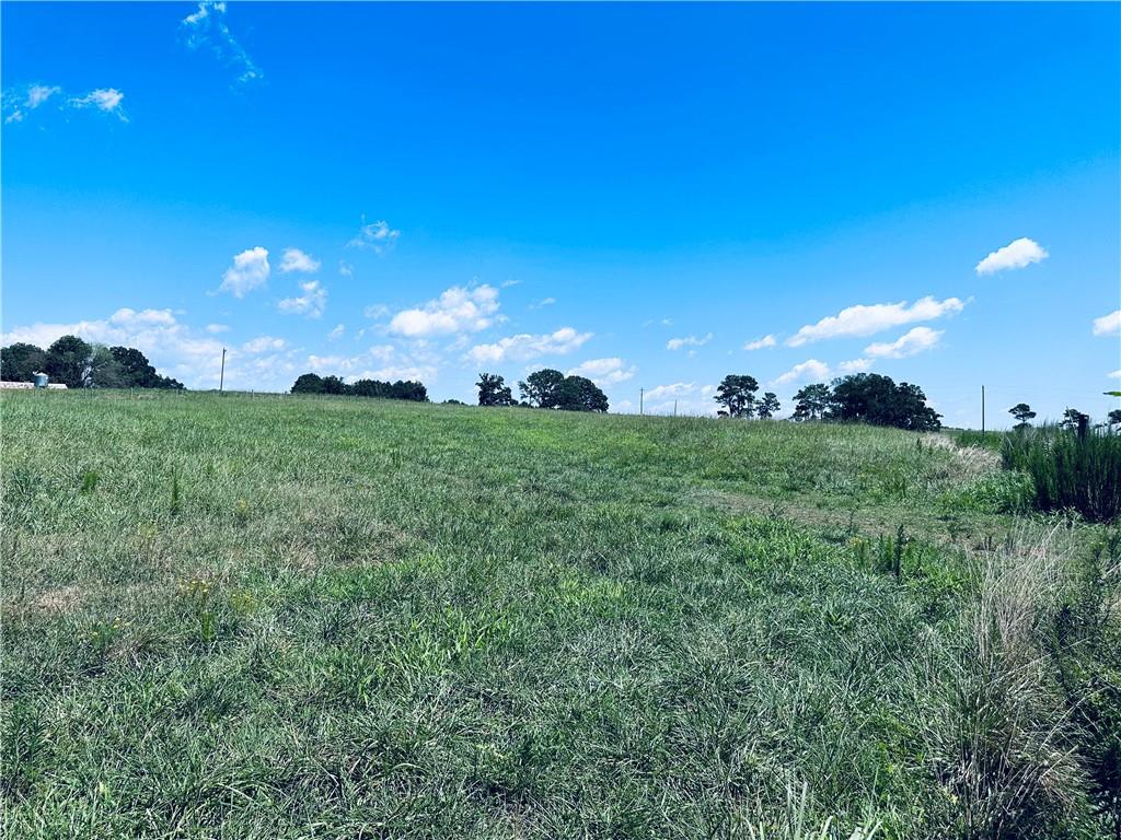 4308 Athens Road Carnesville, GA 30521 - Photo 7 of 49