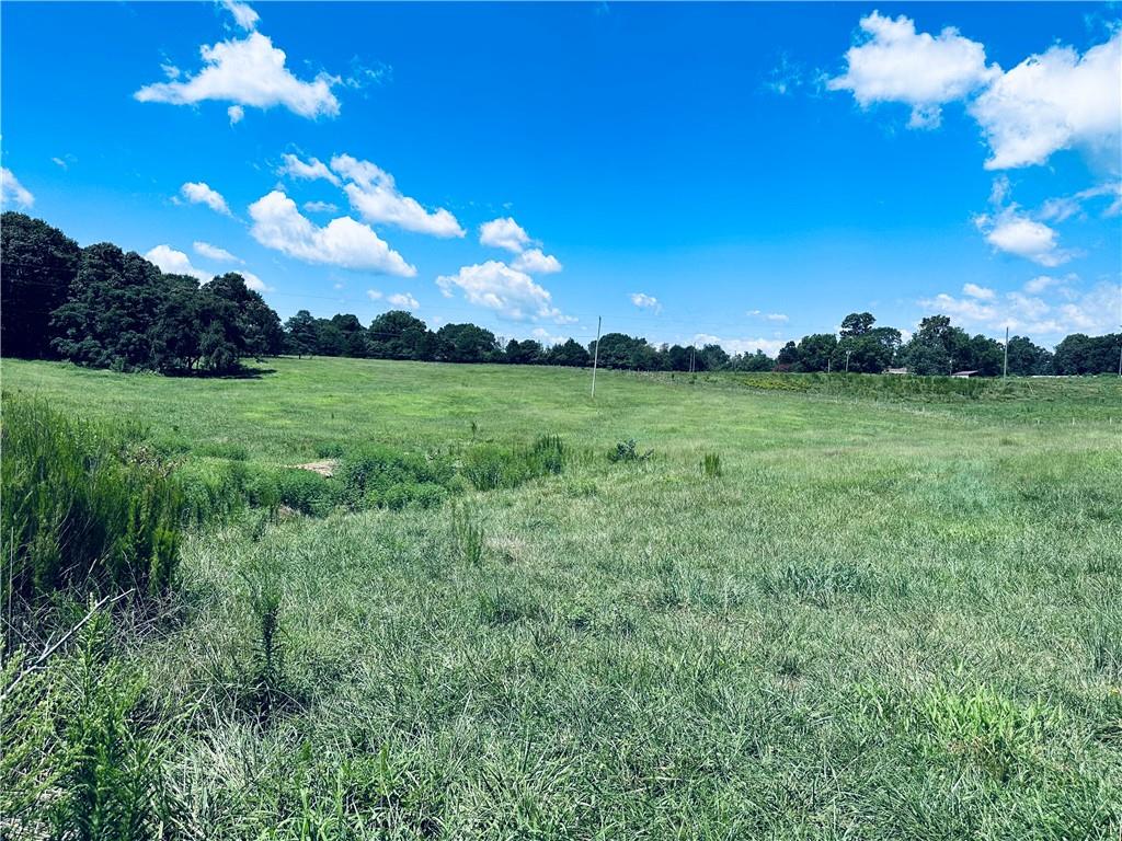 4308 Athens Road Carnesville, GA 30521 - Photo 10 of 49