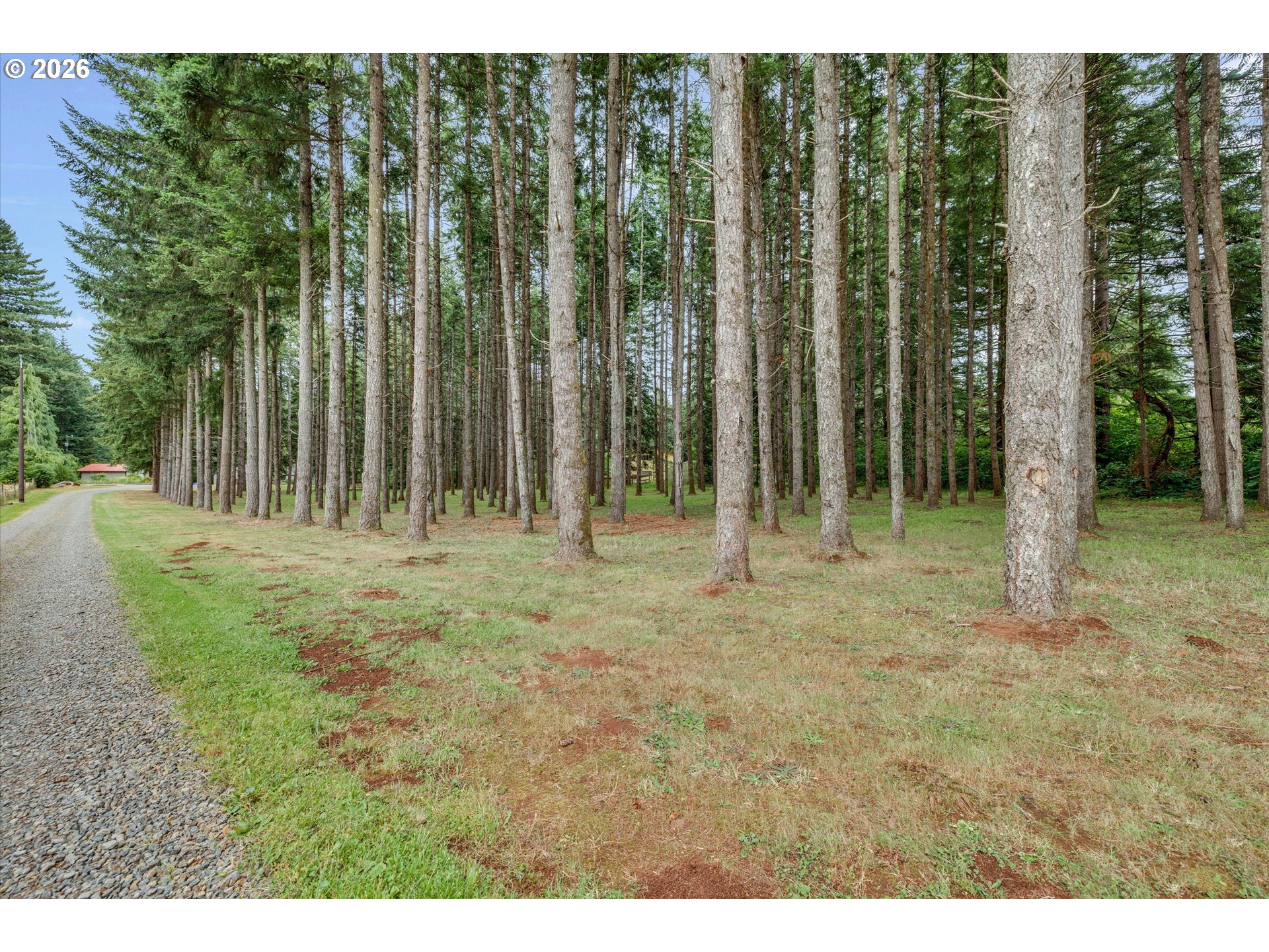24600 South Beavercreek Road Beavercreek, OR 97004 - Photo 43 of 46 Driveway